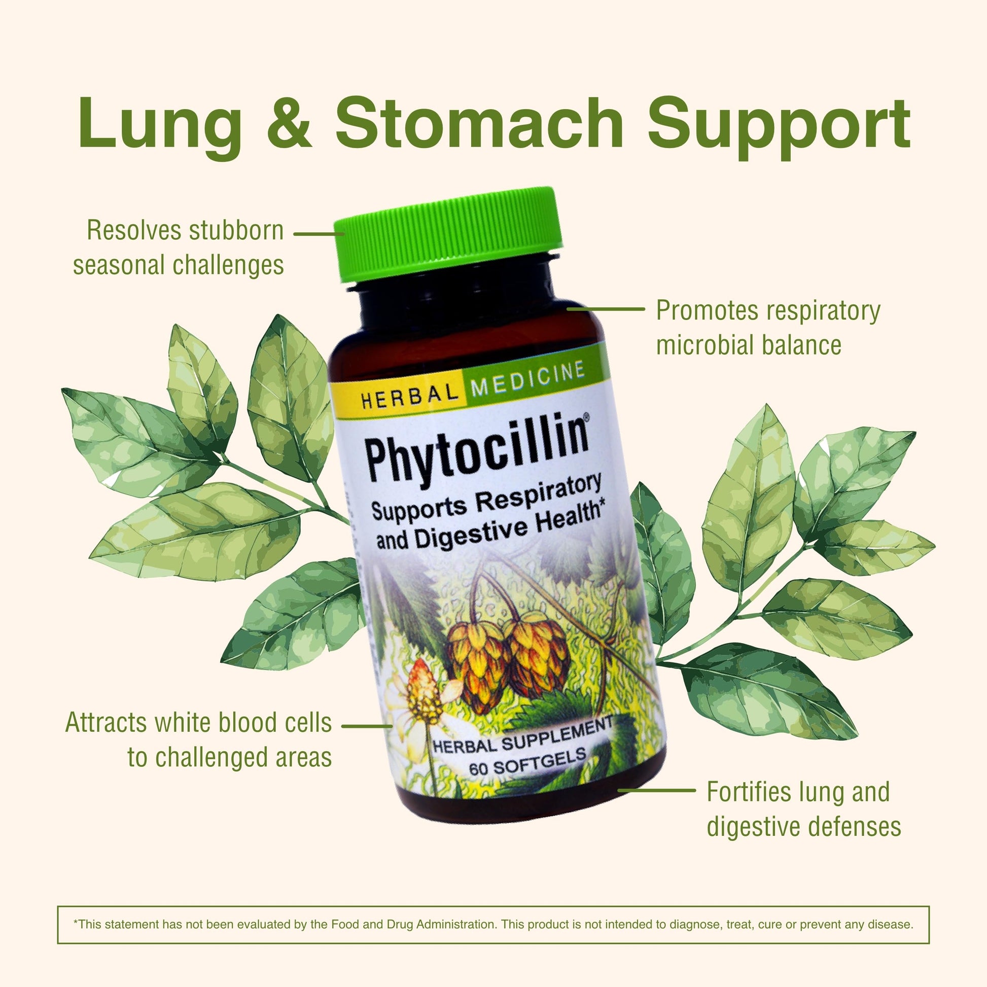 Herbs Etc. Phytocillin - Respiratory & Digestive Health Support Supplement - Herbal Formula to Support Digestion - Support Healthy Breathing - 60 Softgels (60 Servings) Herbs Etc. buy supplements canada