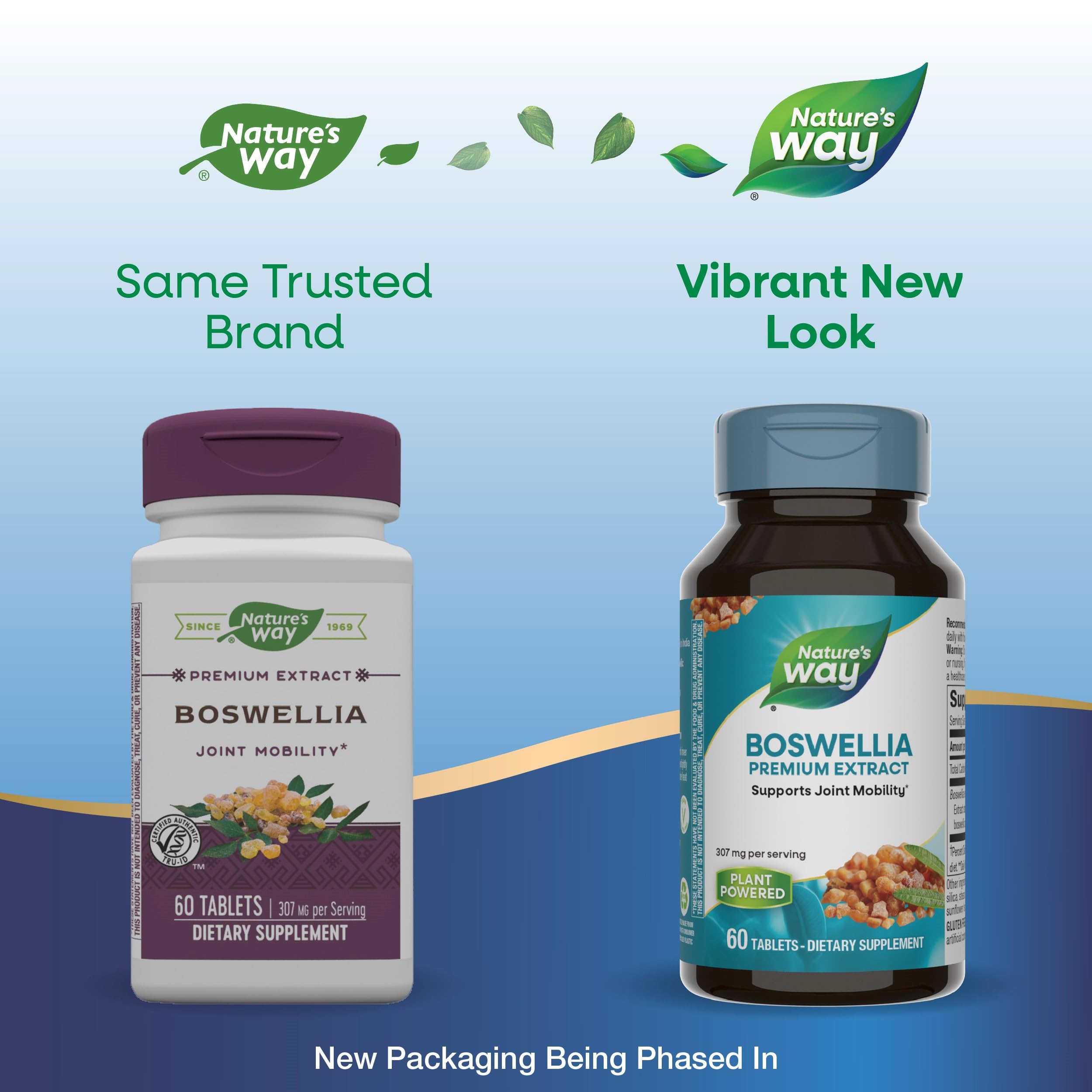 Nature's Way Boswellia Premium Extract, Supports Joint Mobility*, 307 mg Boswellia serrata Extract per Serving, Frankincense Supplement, Gluten Free & Vegan - 60 Tablets (Packaging May Vary) - 2 Pack Nature's Way buy supplements canada