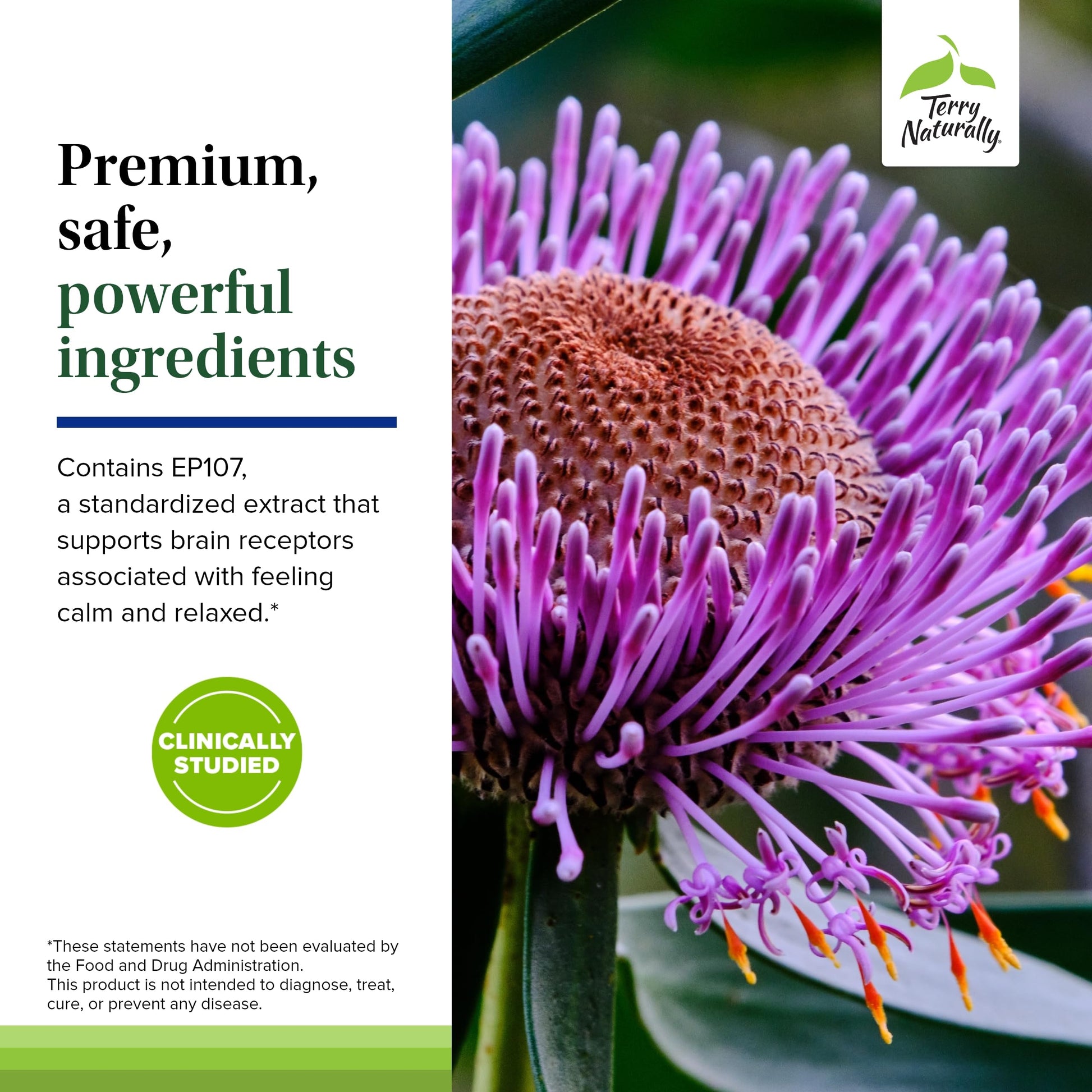 Terry Naturally AnxioCalm - Calming Support Supplement - Supports Against Occasional Tension & Aids Calm Feelings with Narrow-Leaved Coneflower - Non-Drowsy Supplement - 75 Tablets Terry Naturally buy supplements canada