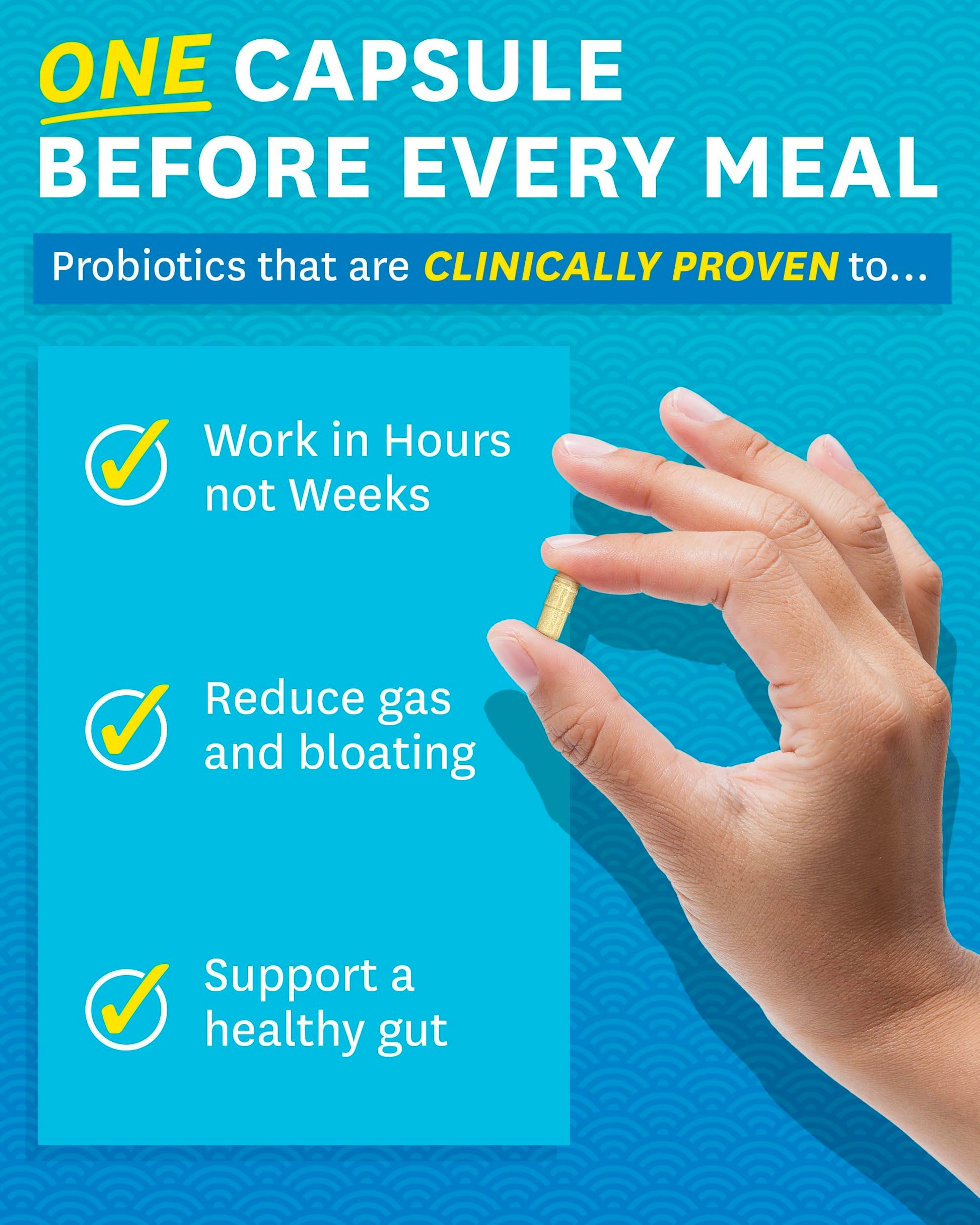 Zenwise Health Digestive Enzymes - Probiotic Multi Enzymes with Probiotics Zenwise Health buy supplements canada