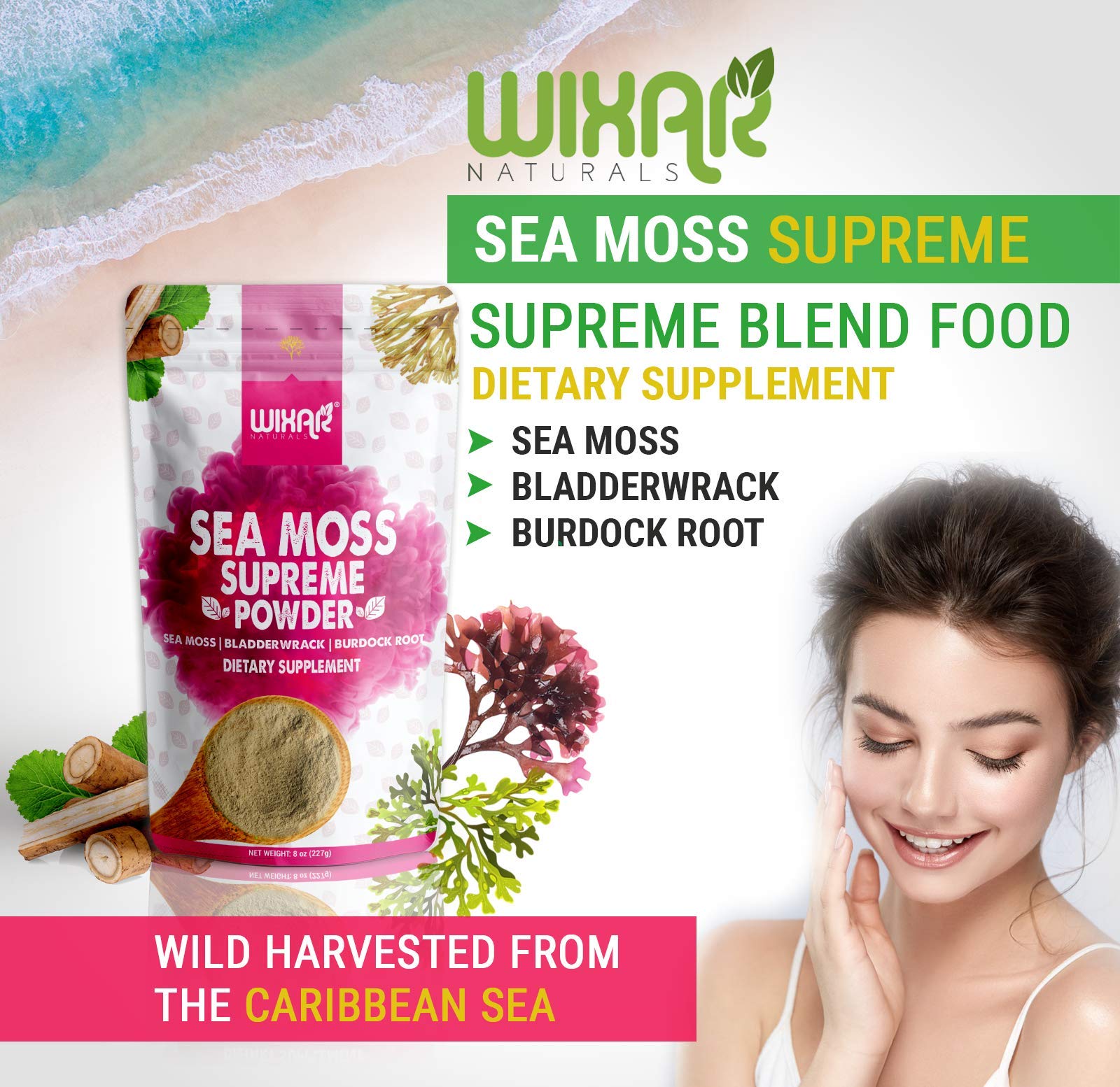 Wixar Wildcrafted Sea Moss Powder – (8 Ounces) – Natural Irish Sea Moss and Bladderwra WIXAR NATURALS buy supplements canada
