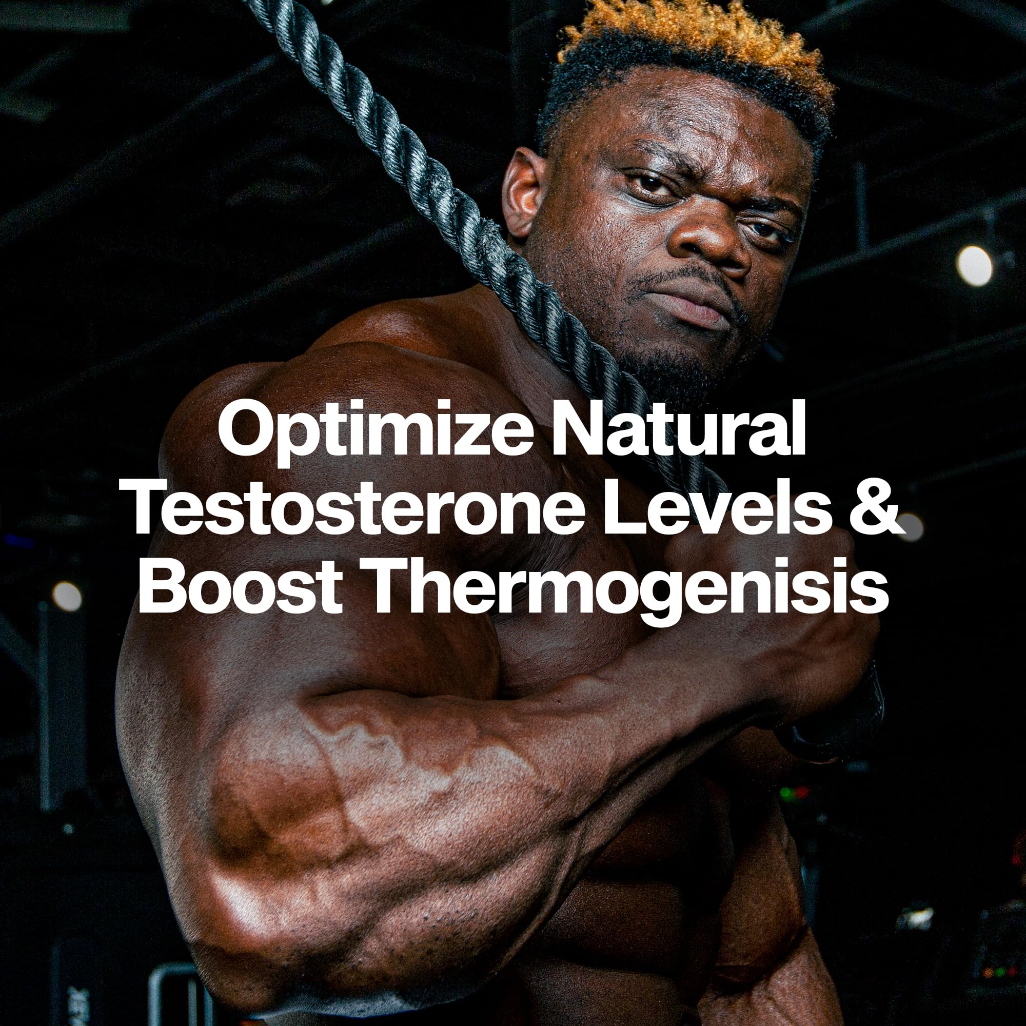MuscleTech Thermogenic Booster for Men, AlphaTest Thermo - T-Boost Mens Supplement with Tribulus Terrestris - Male Gym Workout Supplements for Muscle Growth MuscleTech buy supplements canada