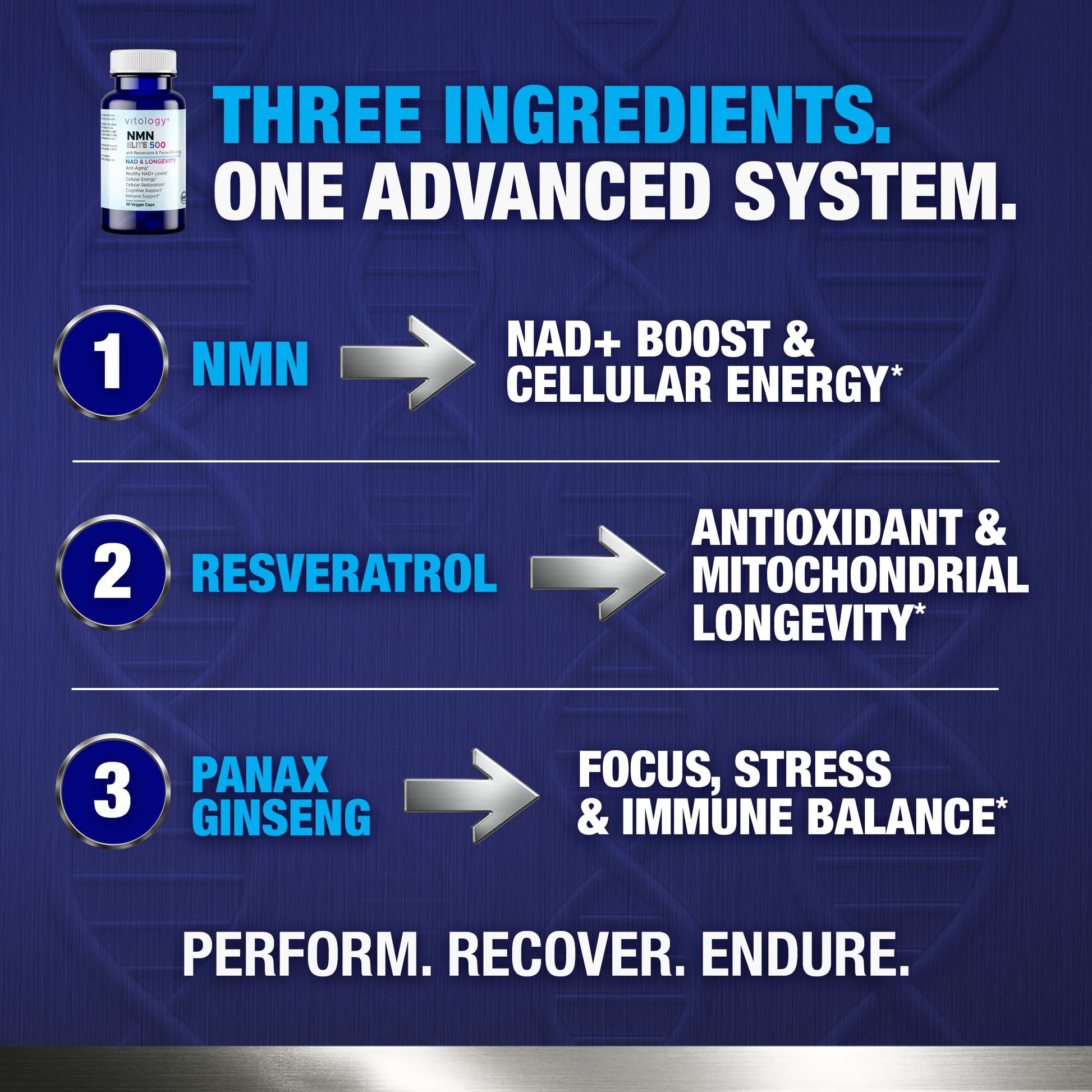 Vitology NMN Elite 500 – NMN 500mg, Resveratrol 200mg, Panax Ginseng 300mg – NAD+ Cellular Energy & Longevity Support Supplement – Focus, Vitality & Anti-Aging Formula – Non-GMO, Vegan Capsules Vitology buy supplements canada