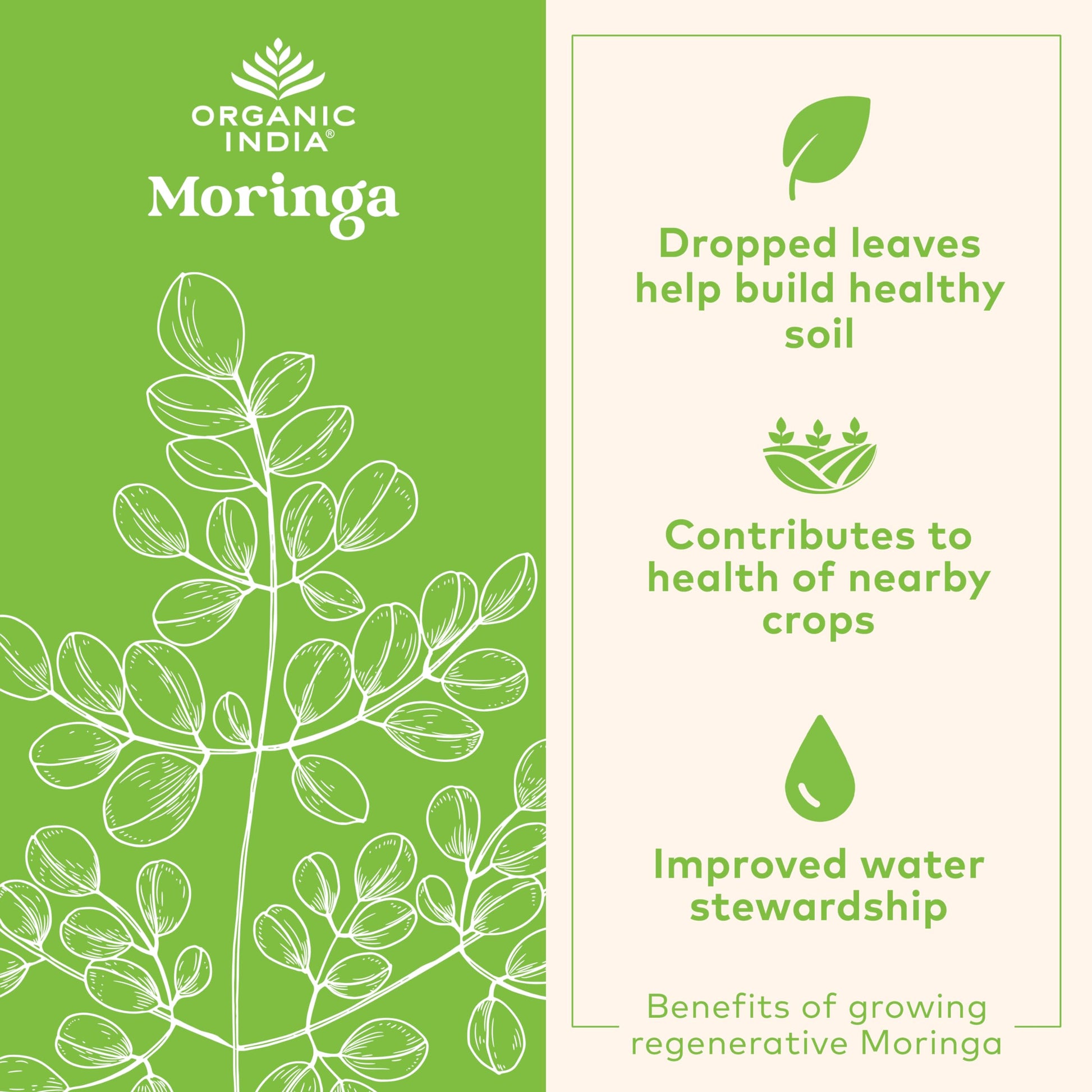 ORGANIC INDIA Moringa Herbal Supplement - Green Superfood, Nutrient Dense, Pure Plant Protein, Vitamin A, E, K, Iron, Calcium, Fiber, Vegan ORGANIC INDIA buy supplements canada