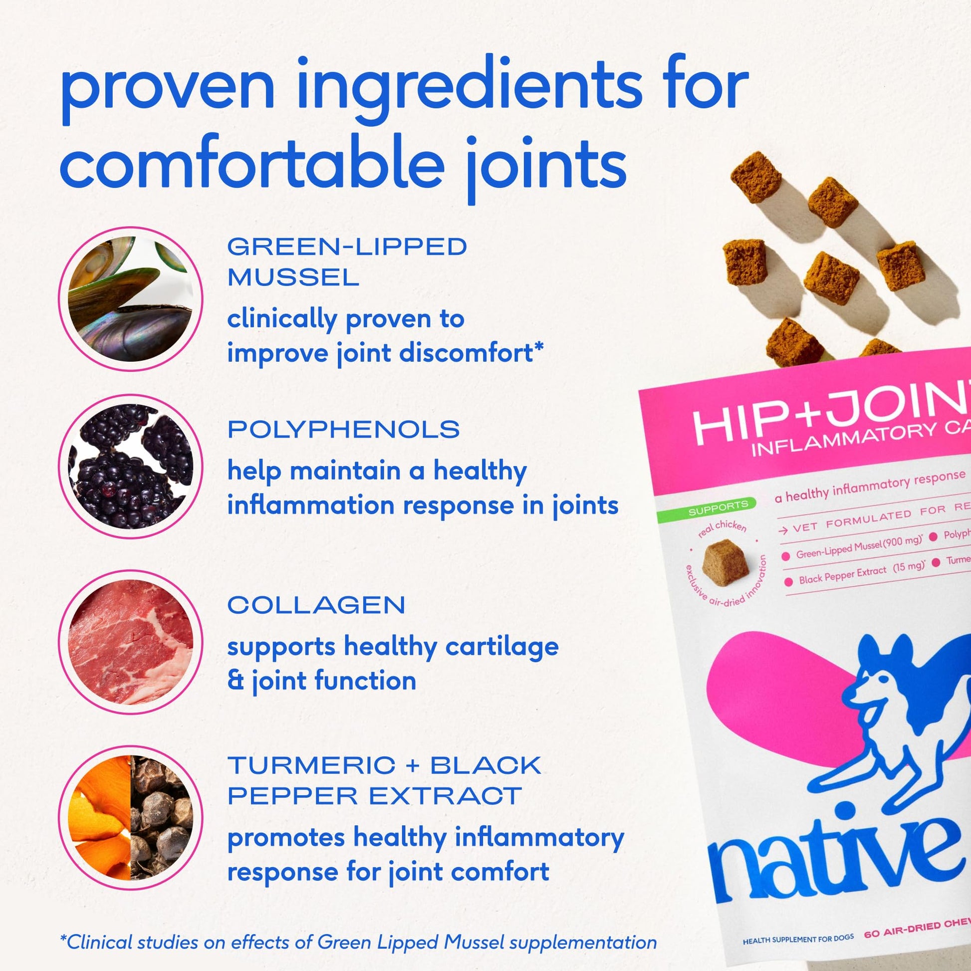 Native Pet Inflammatory Care - Pain Relief for Dogs - Green-Lipped Mussel, Turmeric & Collagen for Dogs - Hip and Joint Supplement Supports Healthy Inflammatory Response & Joint Comfort - 60 Chews Native Pet buy supplements canada
