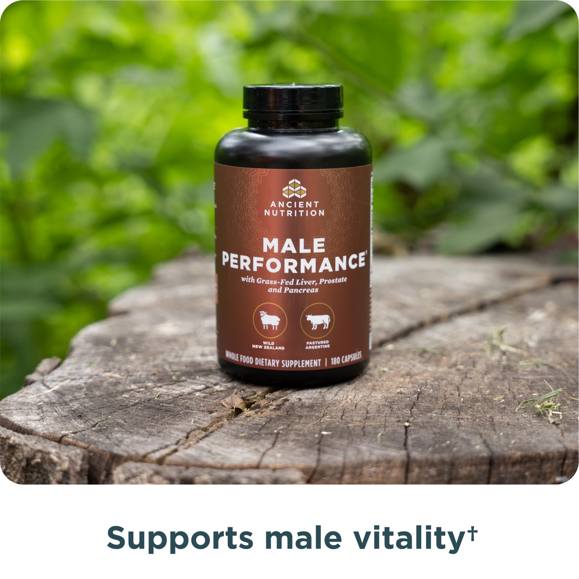 Ancient Nutrition Organ Supplements for Men, Grass-Fed and Wild Organ Complex Capsules, Liver, Prostate, Pancreas Supports Male Performance, Healthy Aging, 180 Ct Ancient Nutrition buy supplements canada