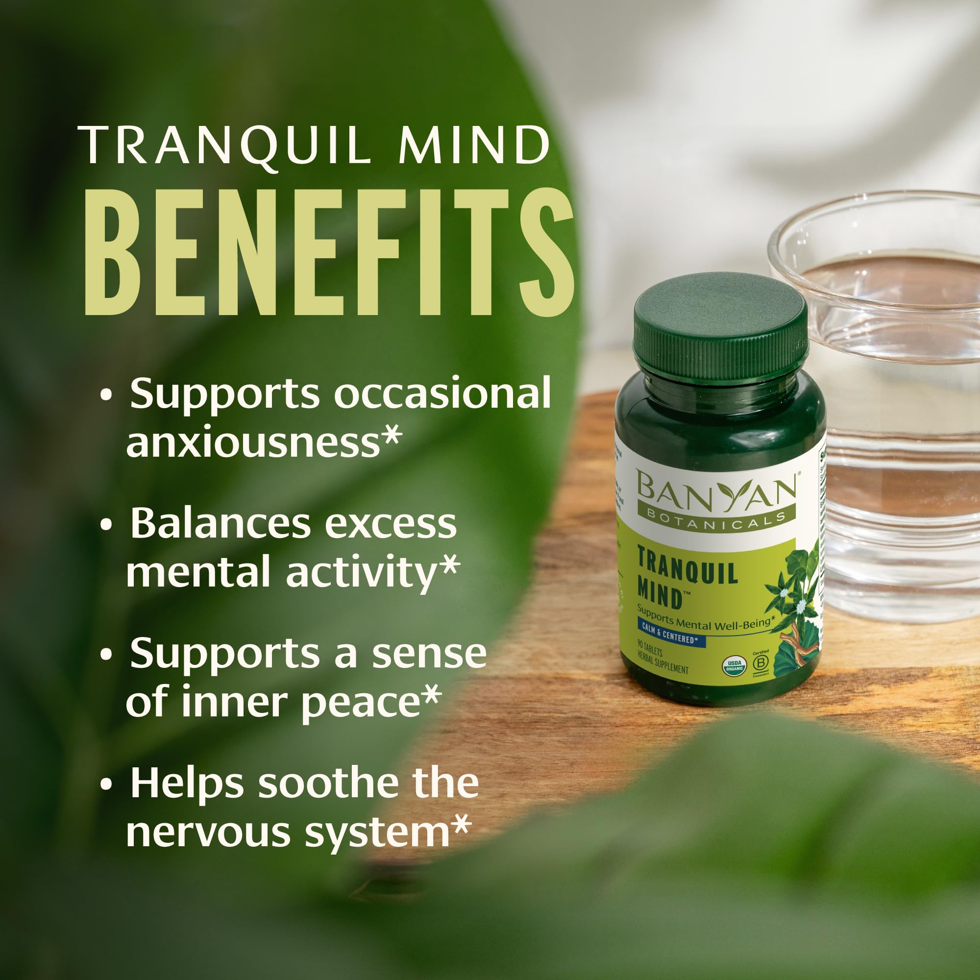 Banyan Botanicals Organic Tranquil Mind – Nervous System Support & Physical Relaxation Supplement – with Skullcap, Passionflower & Gotu Kola – Non-Drowsy Systemic Grounding – 90 Tablets – USDA Organic Banyan Botanicals buy supplements canada