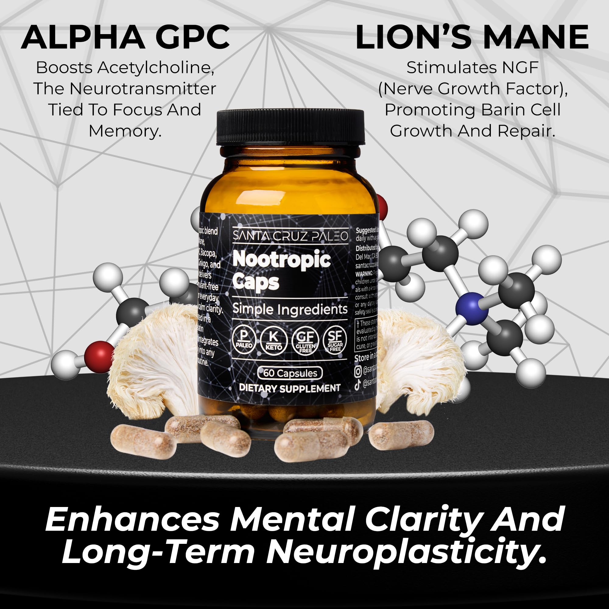 Santa Cruz Paleo Nootropic Capsules – Lions Mane, Alpha GPC, Panax Ginseng & Ginkgo Biloba for Focus, Memory, Mental Clarity & Energy – Keto, Paleo, Gluten Free Brain Supplement, 60 Caps Santa Cruz Paleo buy supplements canada