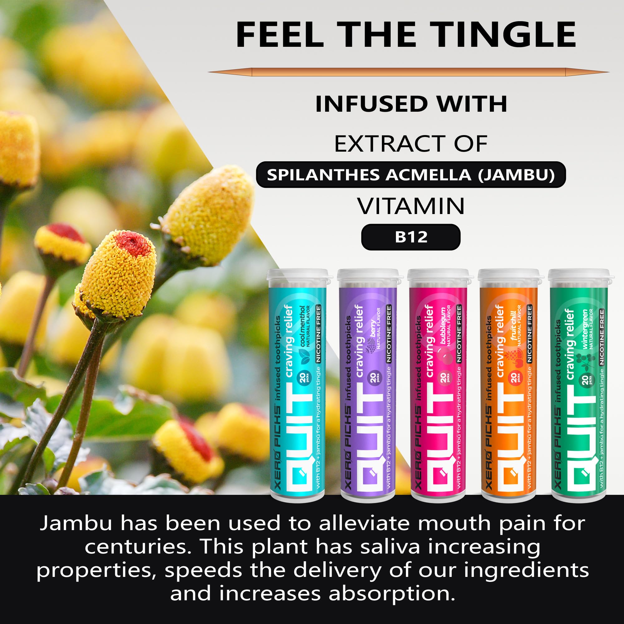 Xero Picks Infused Flavored Toothpicks to Help Quit Smoking - Nicotine Xero Picks buy supplements canada