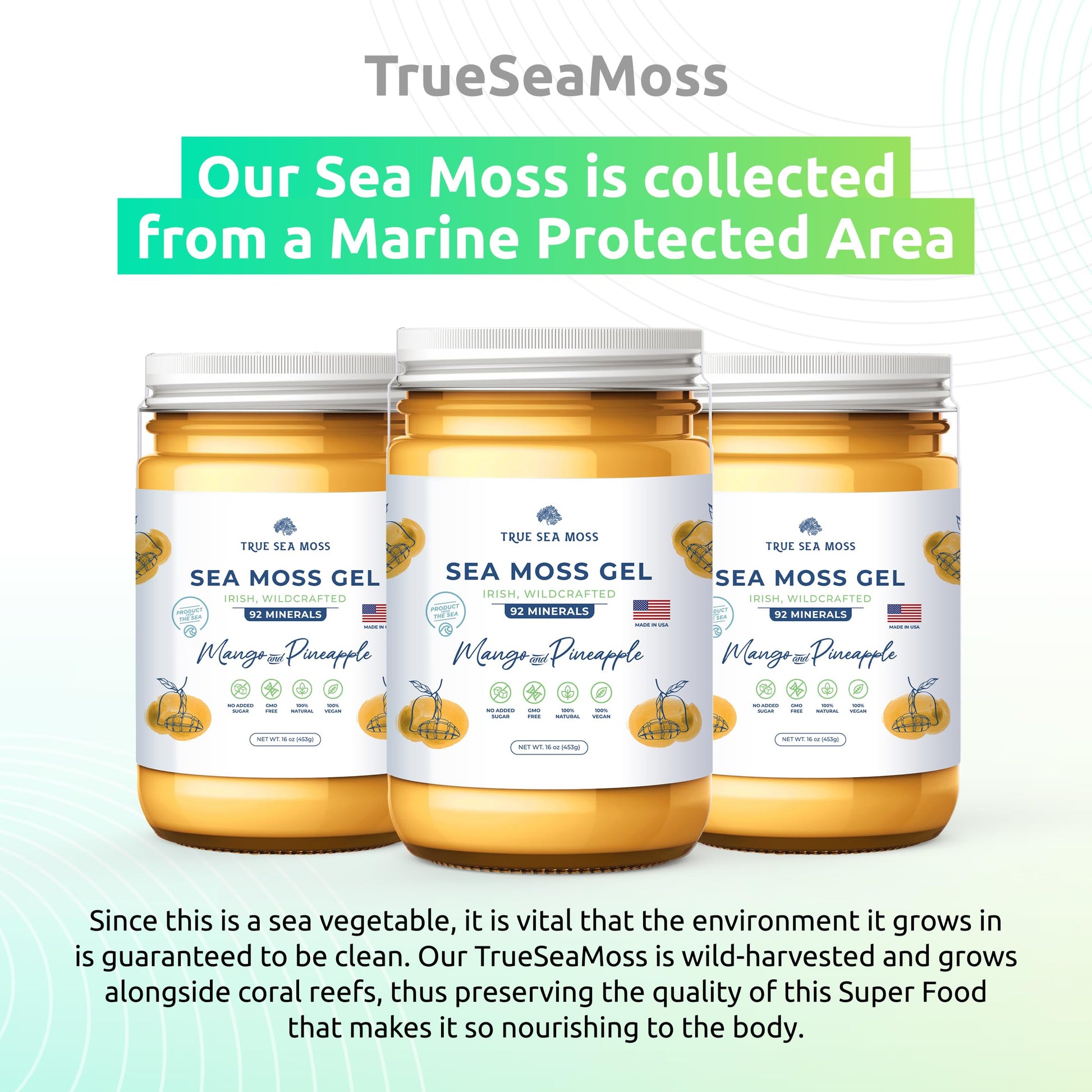 TrueSeaMoss Wildcrafted Irish Sea Moss Gel – Nutritious Organic Raw Seamoss Rich TrueSeaMoss buy supplements canada