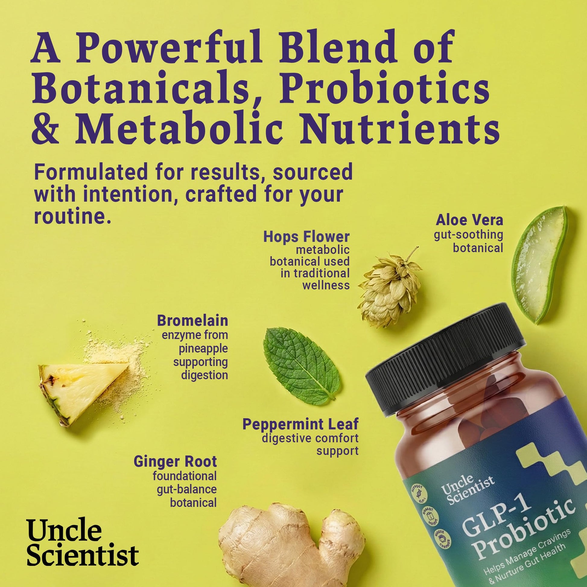 Uncle Scientist GLP-1 Probiotic Dietary Supplement, Supports Healthy Appetite and Metabolic Function - Chromium, Green Tea, Cinnamon, Probiotics & Herbal Blend, 60 Capsules (30-Day Supply) Uncle Scientist buy supplements canada