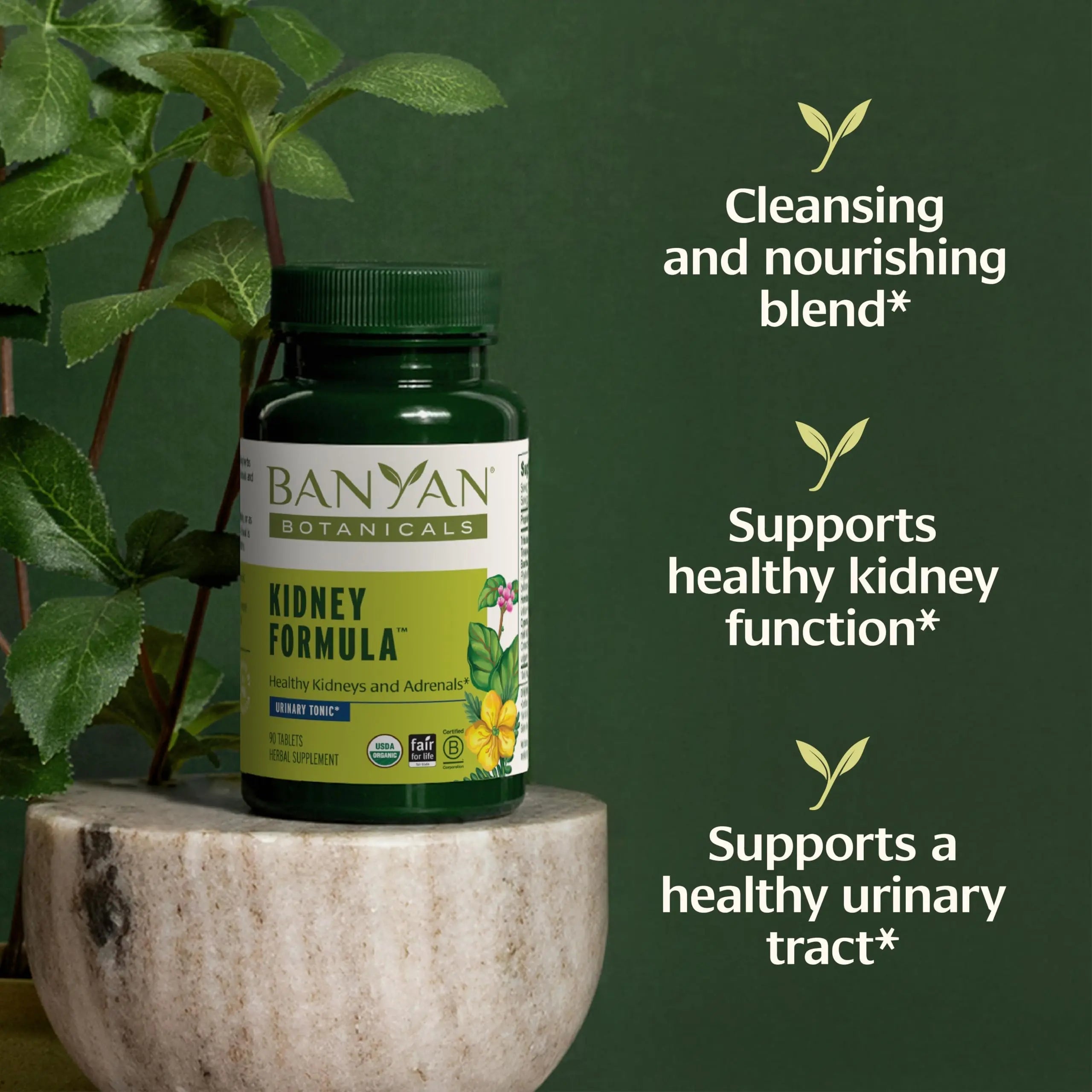 Banyan Botanicals Organic Kidney Formula–Urinary Tract Support & Detox Supplement–Gokshura & Punarnava for Fluid Balance & Systemic Cleansing–Cooling Genitourinary Tonic-90 Tablets-USDA Organic Banyan Botanicals buy supplements canada