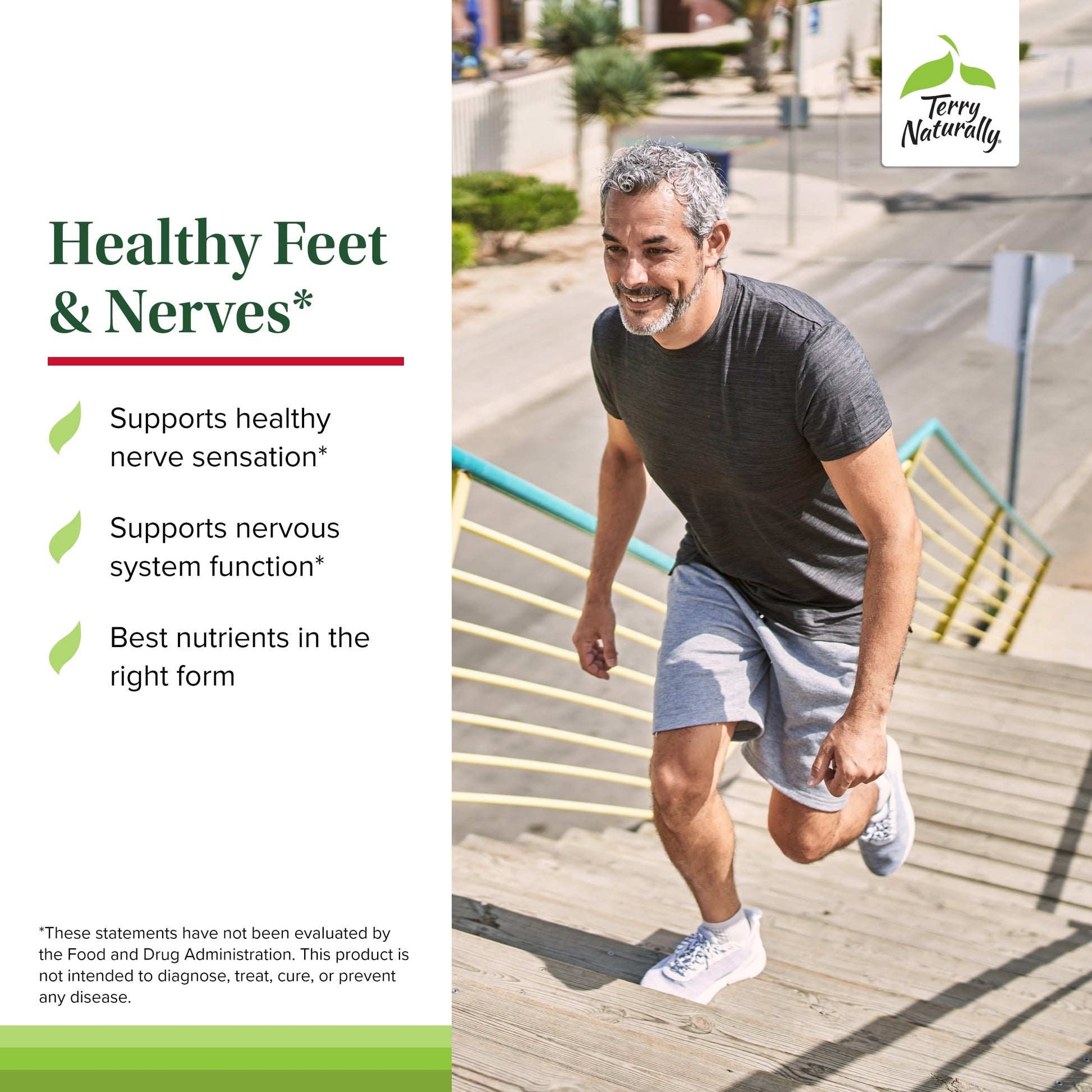 Terry Naturally Healthy Feet & Nerves - Herbal Supplement with Bioactive Vitamin B12 - Circulation & Nerve Health Support Supplement - Vegan Capsules with Boswellia Serrata - 60 Capsules Terry Naturally buy supplements canada