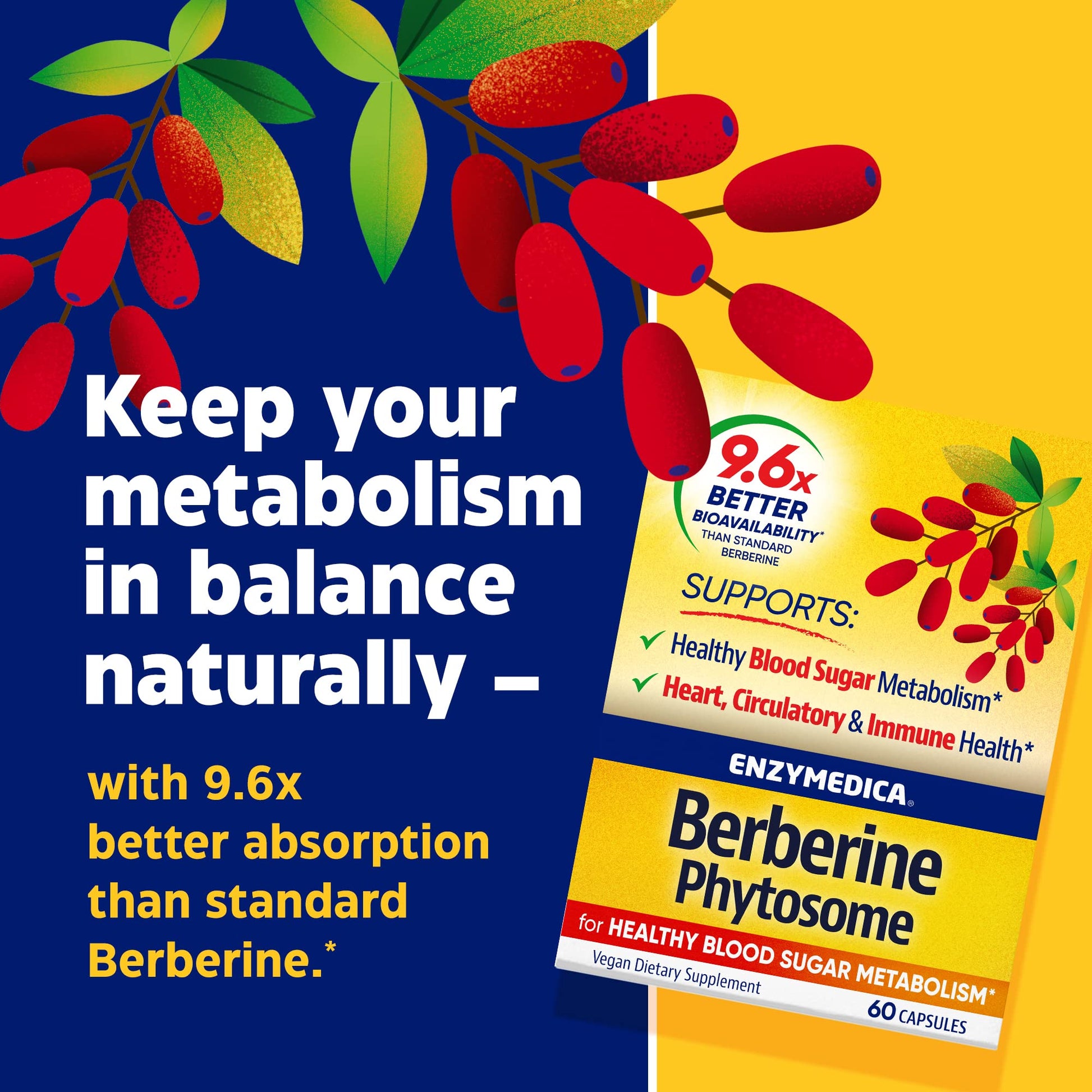 Enzymedica, Berberine Phytosome Enzymedica buy supplements canada