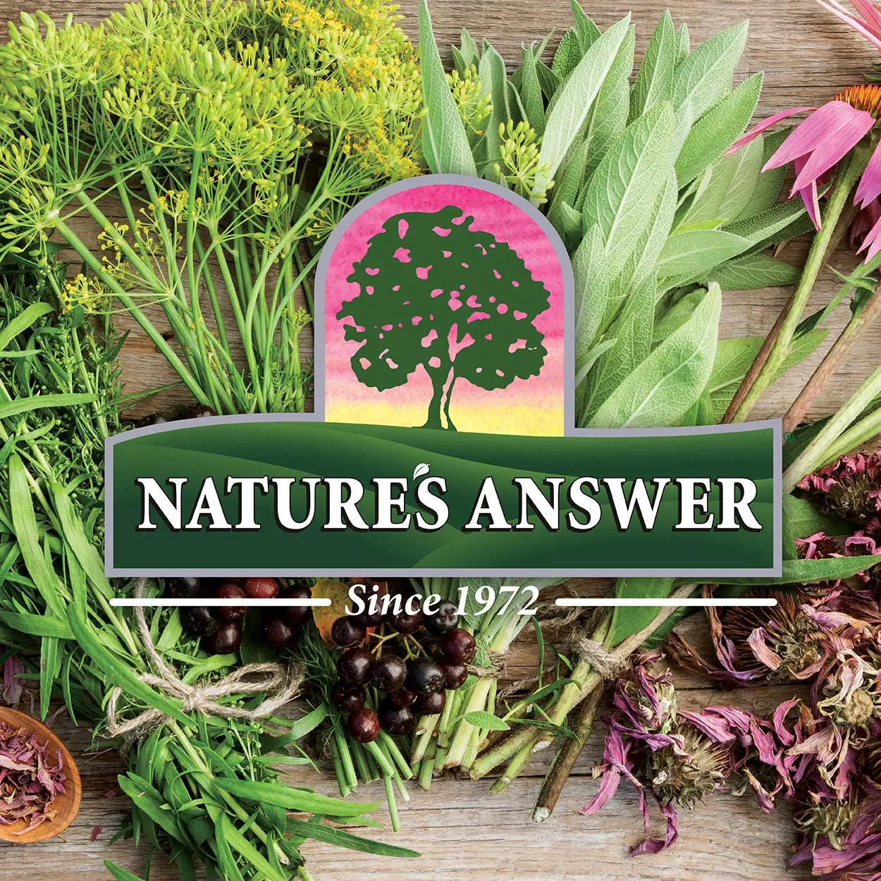 Nature's Answer Women's 100, Multivitamin, 60 Vegetarian Capsules Nature's Answer buy supplements canada