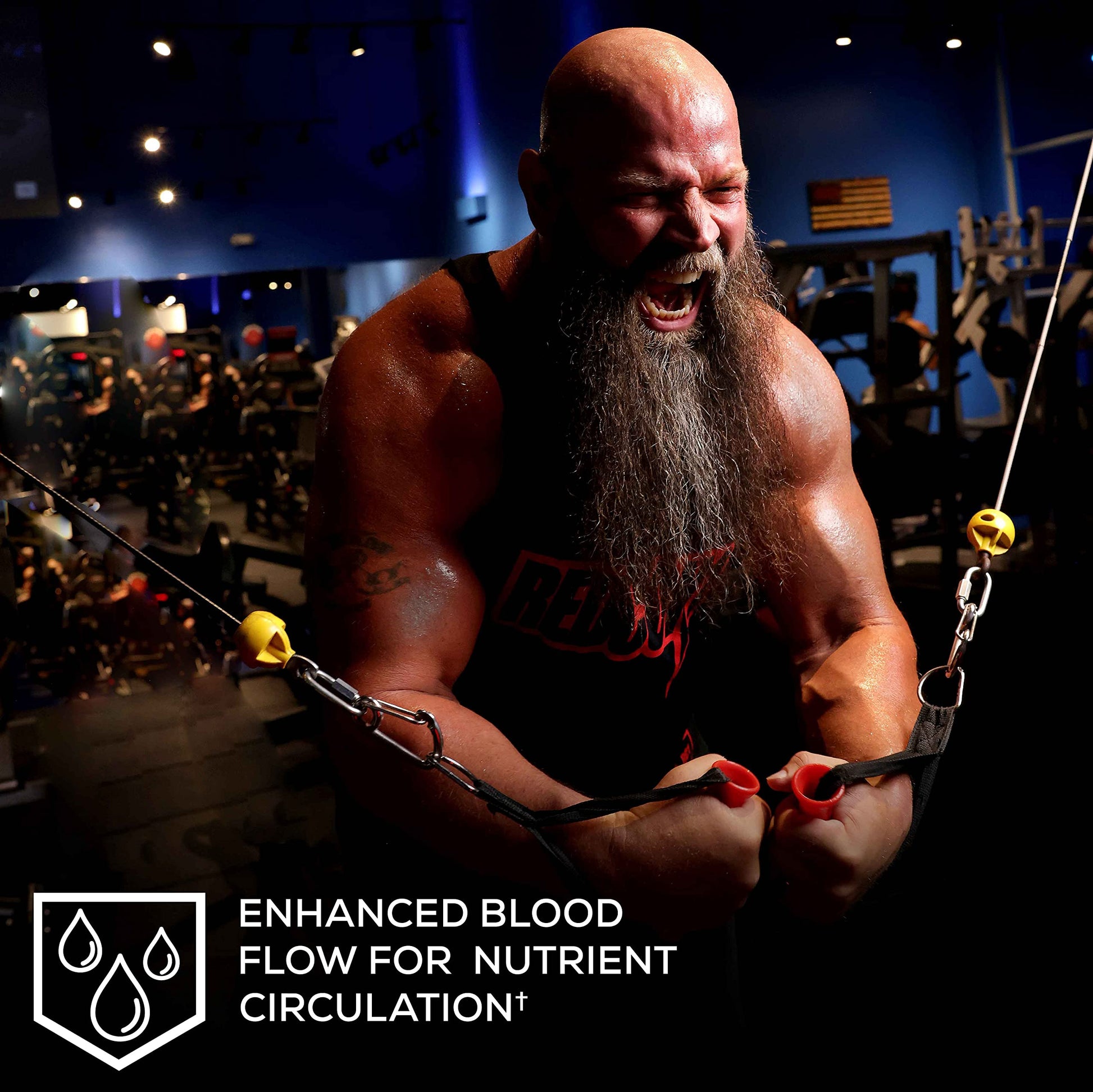 REDCON1 Big Noise RTD Pre Workout Drink, Rainbow Candy - Caffeine-Free Ready-to-Drink REDCON1 buy supplements canada