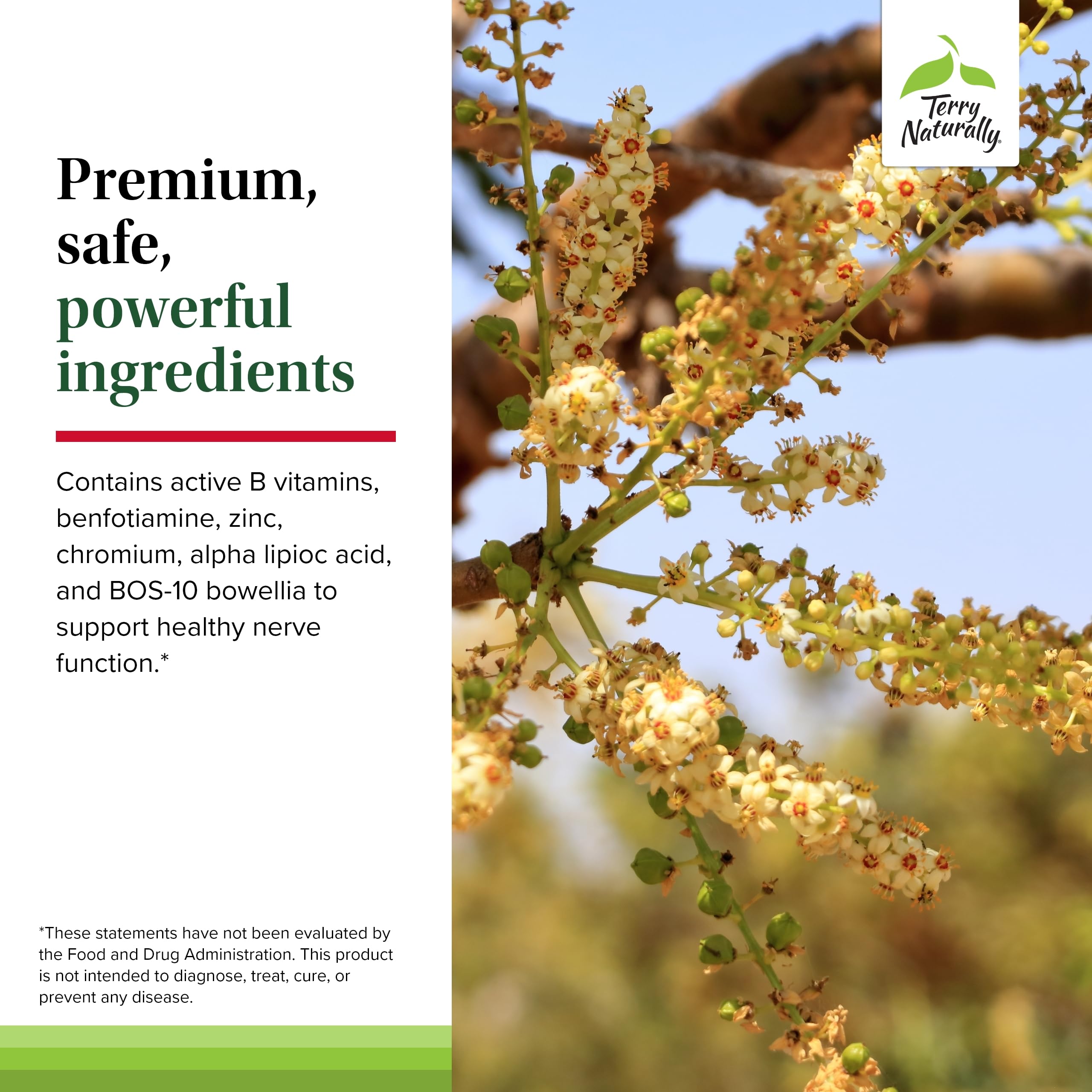 Terry Naturally Healthy Feet & Nerves - Herbal Supplement with Bioactive Vitamin B12 - Circulation & Nerve Health Support Supplement - Vegan Capsules with Boswellia Serrata - 60 Capsules Terry Naturally buy supplements canada