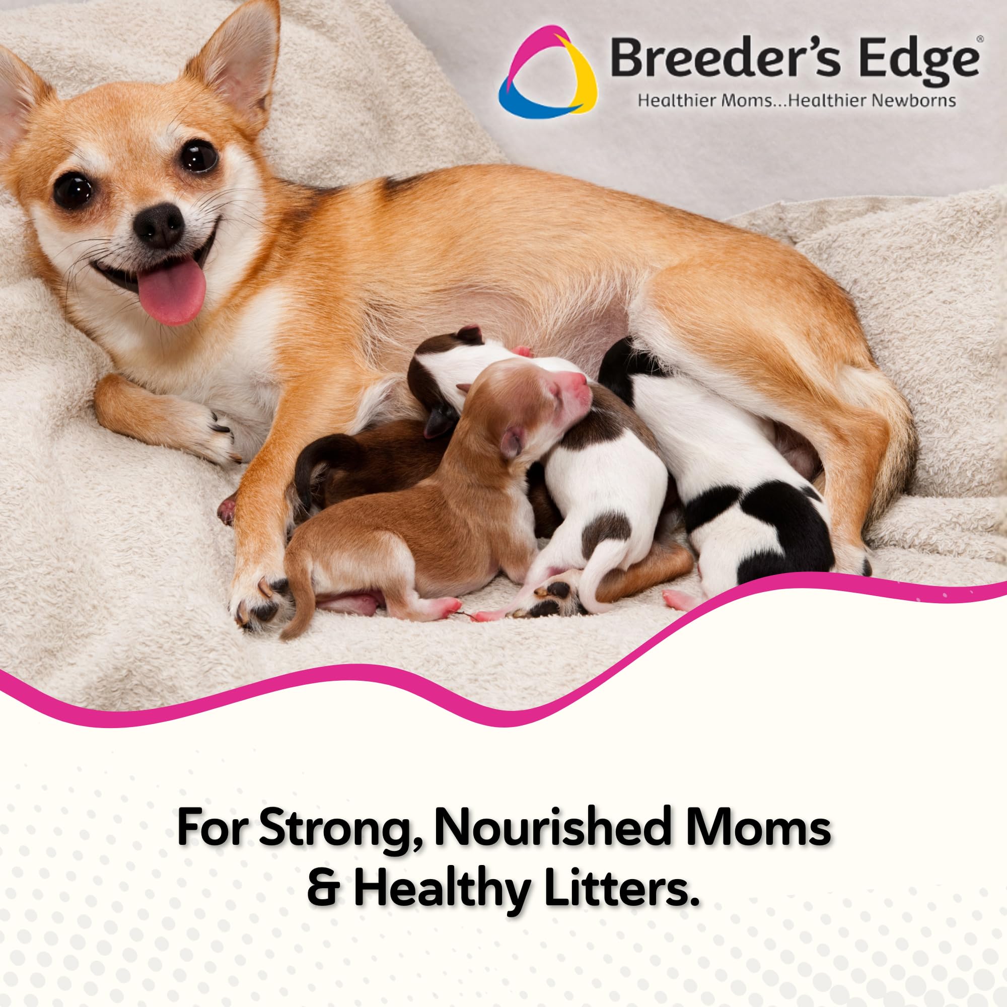 Breeder's Edge Oxy Momma Soft Chews, Postnatal Vitamin Supplement for Lactating Dogs and Cats, Supports Recovery, Hormones, and Next Pregnancy - for Small Dogs & Cats, 40ct Soft Chews Revival Animal Health buy supplements canada