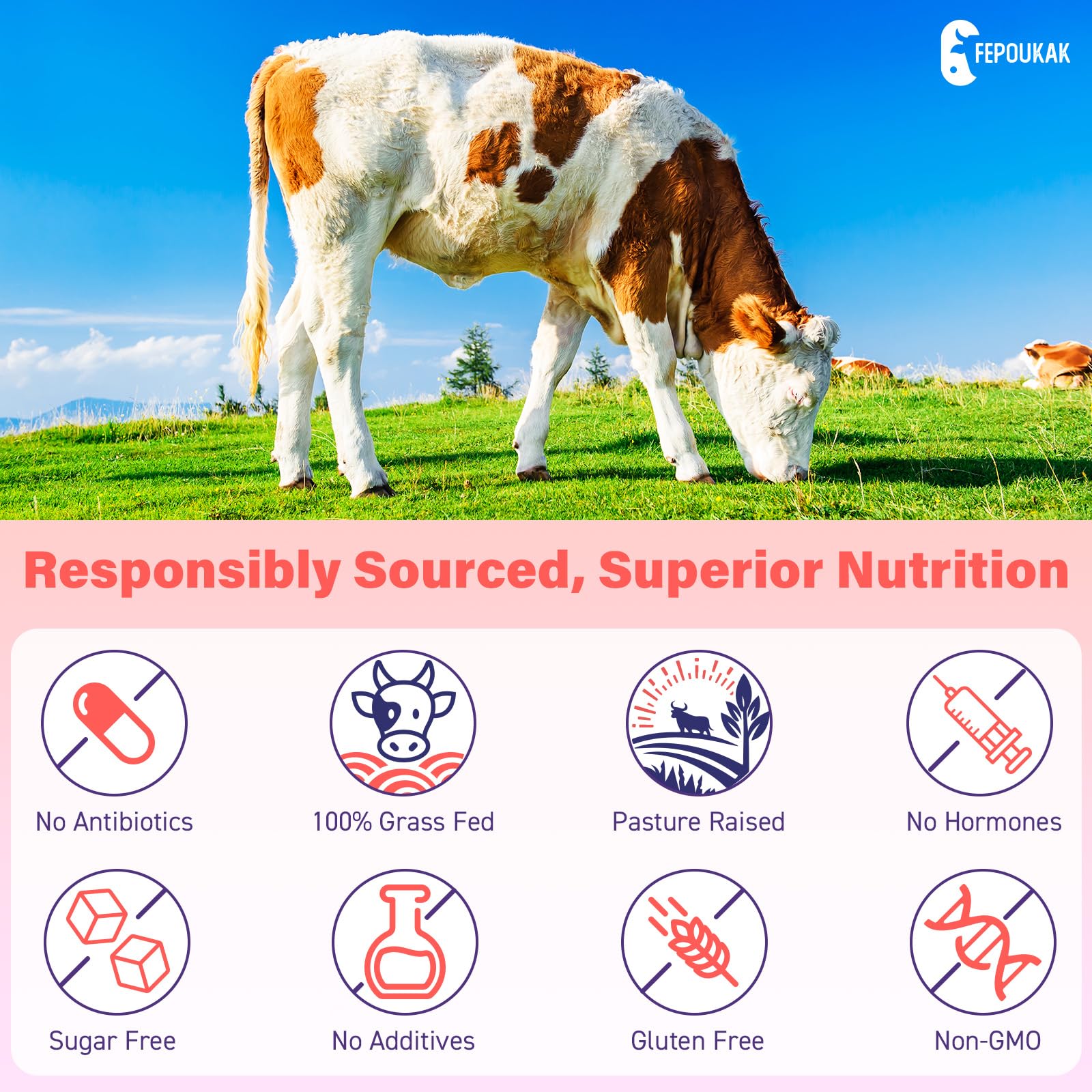 (180 Gummies) Beef Organ Supplement for Women - 5300mg Beef Liver, Kidney, Uterus & 10 More, for Hormone Balance, Menstruation, Energy, Immunity, Gut & Skin Health - 100% Grass Fed & Pasture Raise Fepoukak buy supplements canada