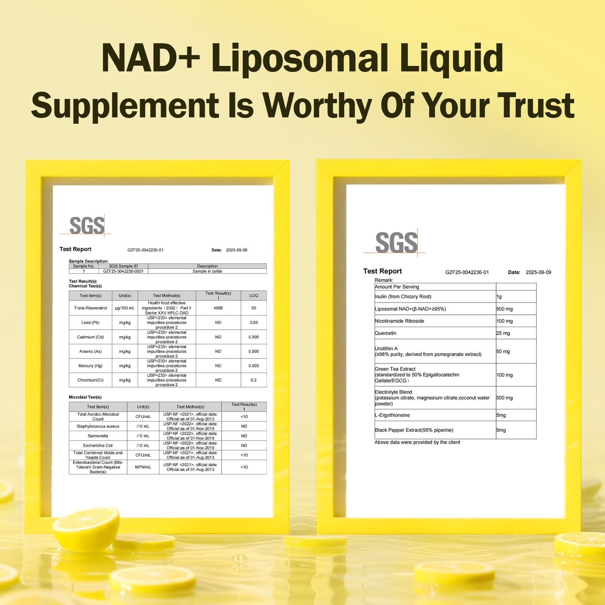 Liposomal NAD+ Liquid Supplement - Designed to Help Support Absorption - Nhanced Cellular Uptake, Helps Support Normal Cellular Health, Supports Cellular Energy Metabolism and Vitality - Lemon Flavor BAKAKOUL buy supplements canada