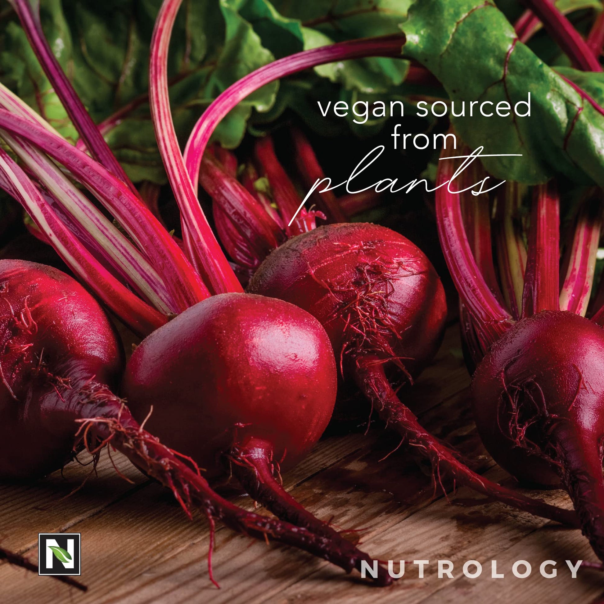 Nutrology Beet Active, Natural Pre-Workout Powder, Supports Energy, Endurance & Nitric Nutrology buy supplements canada