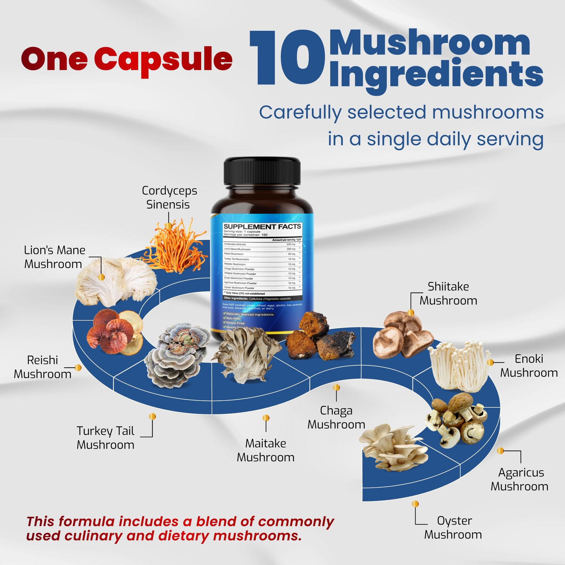 10 in 1 High Strength Mushroom Supplement - Lions Mane, Cordyceps, Reishi - Brain Supplements for Memory and Focus ** 5-Month Supply VEGATOT buy supplements canada