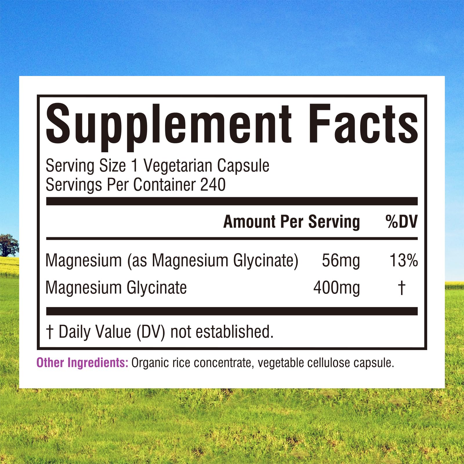 Innate Vitality Magnesium Glycinate 400mg, Non Buffered & High Absorption Magnesium Supplement for Sleep, Relaxation, Heart & Bone Health for Men & Women, Non-GMO, No Gluten, 240 Vegan Capsules Innate Vitality buy supplements canada