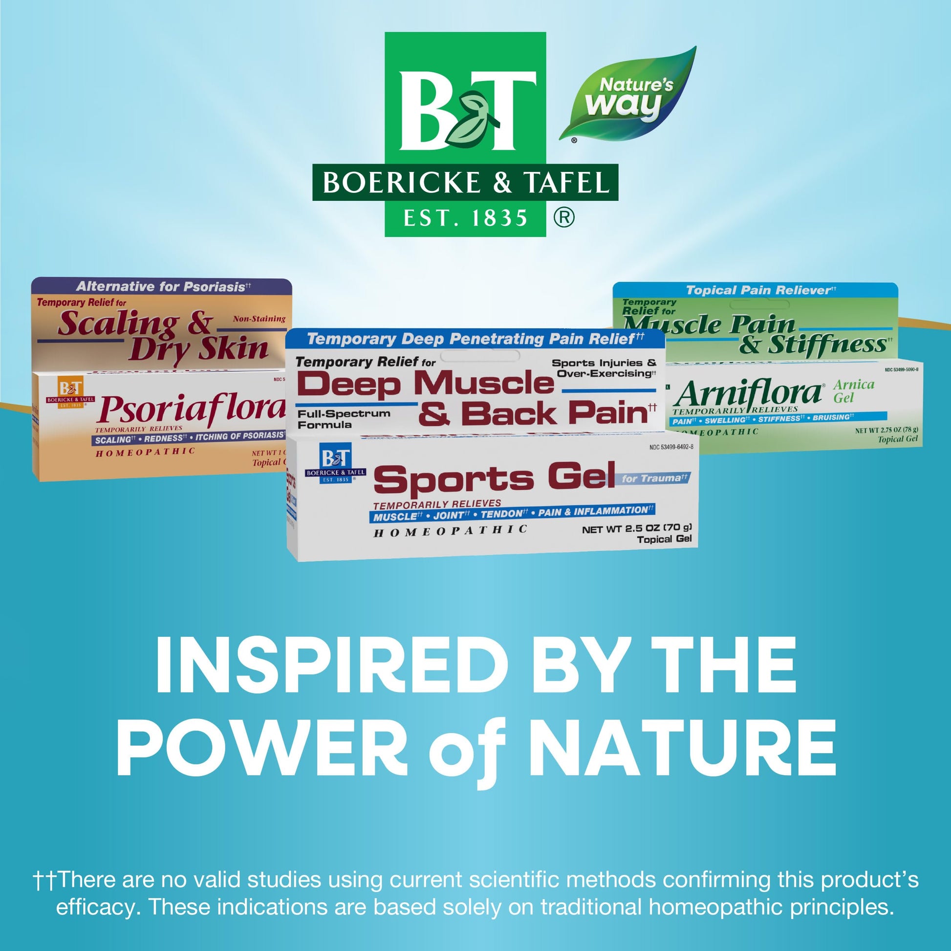 Nature's Way Boericke & Tafel Sports Gel, Relief for Deep Muscle, Joint, Tendon, & Back Pain and Inflammation, Homeopathic, 2.5 oz Nature's Way buy supplements canada