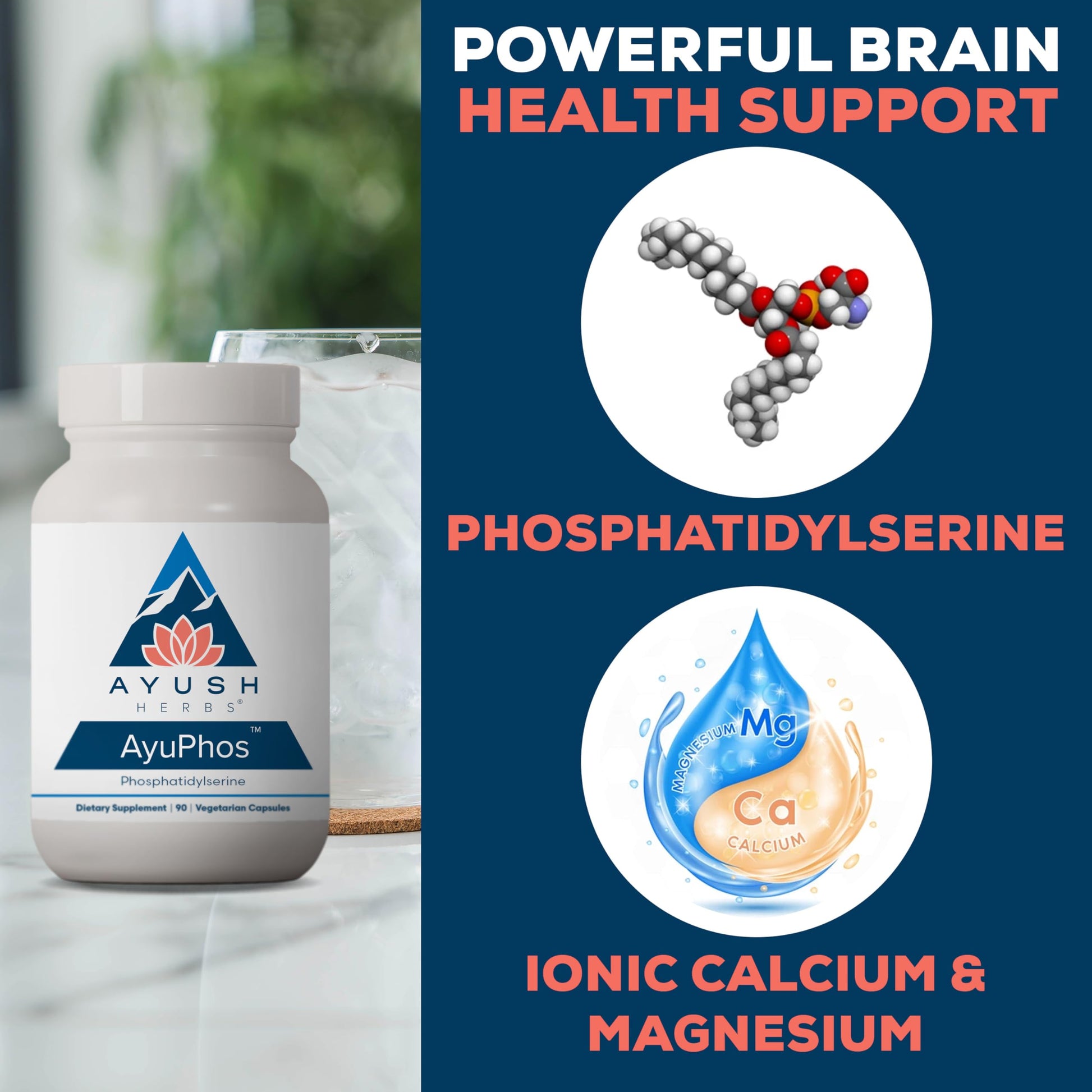 Ayush Herbs AyuPhos - Phosphatidylserine Supplement for Men & Women, Soy-Free Phosphatidyl Serine, Brain, Memory, & Cognitive Support for Adults, 200mg Per Pill - 45 Servings Ayush Herbs buy supplements canada