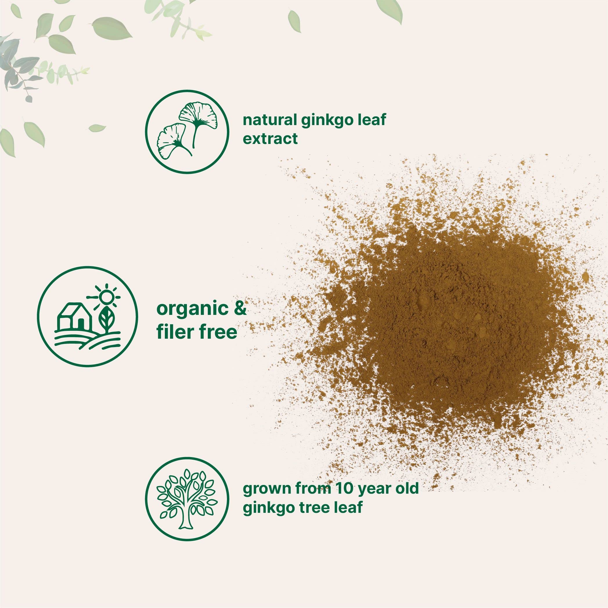 Micro Ingredients Raw Organic Ginkgo Biloba Powder, 8 Ounce (18 Months Supply) Micro Ingredients buy supplements canada