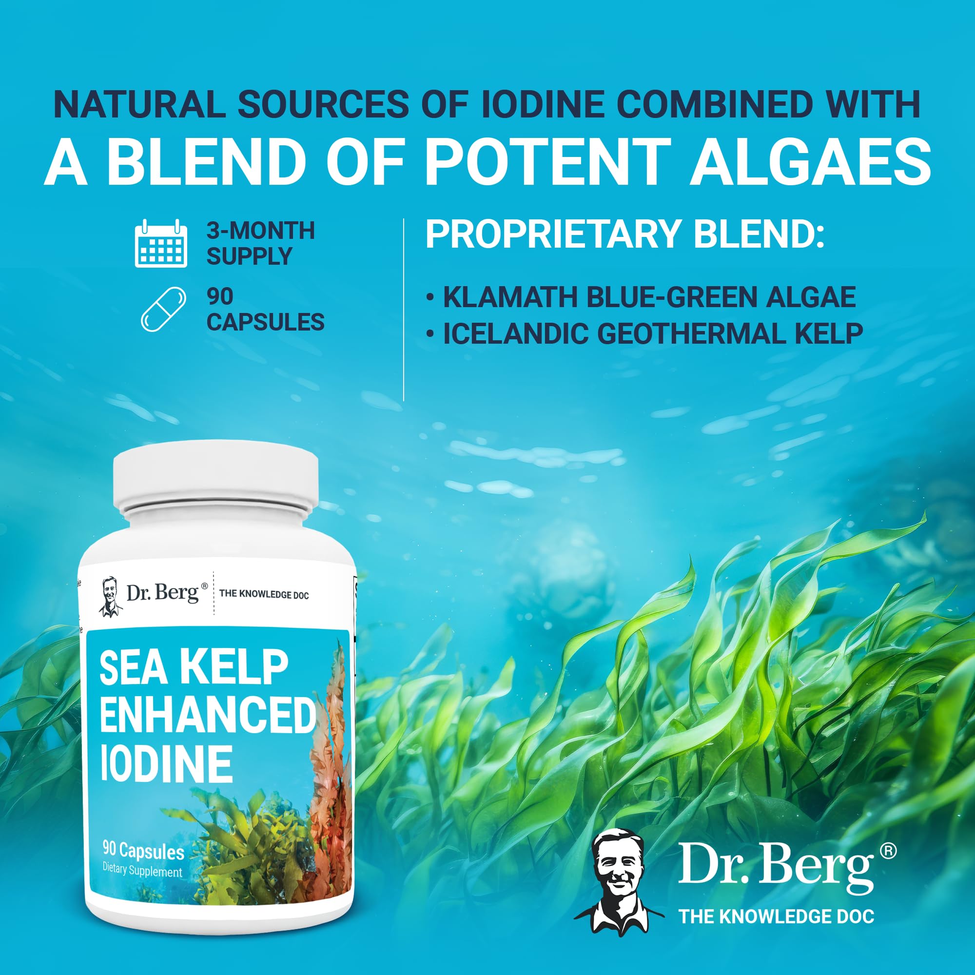 Dr. Berg's Sea Kelp Enhanced - Pure Healthy Thyroid Support Natural Antioxidants Dr. Berg Nutritionals buy supplements canada