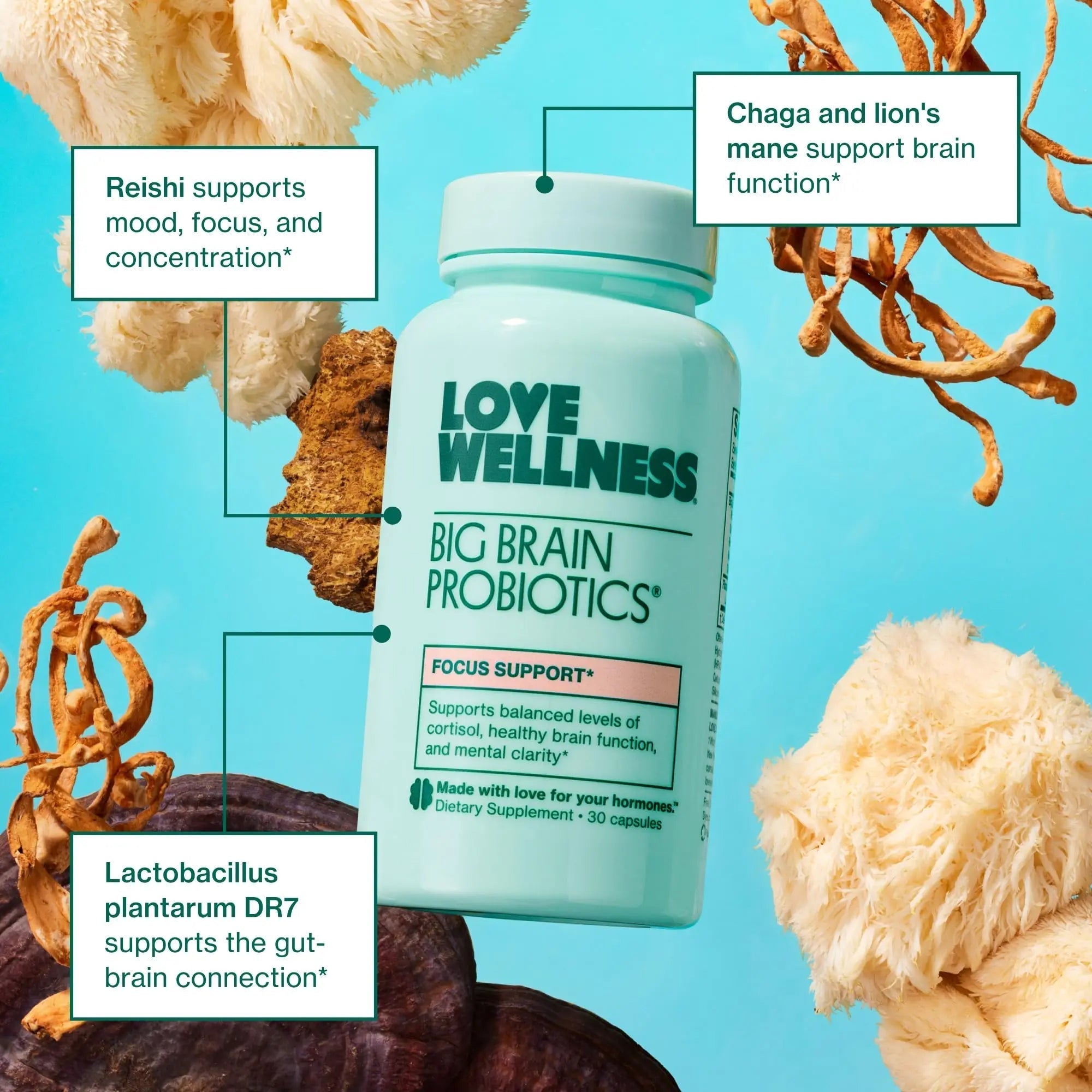 Love Wellness Daily Love Multivitamin & Big Brain Probiotics | Mind and Body Duo | Womens Vitamin and Probitoic Love Wellness buy supplements canada
