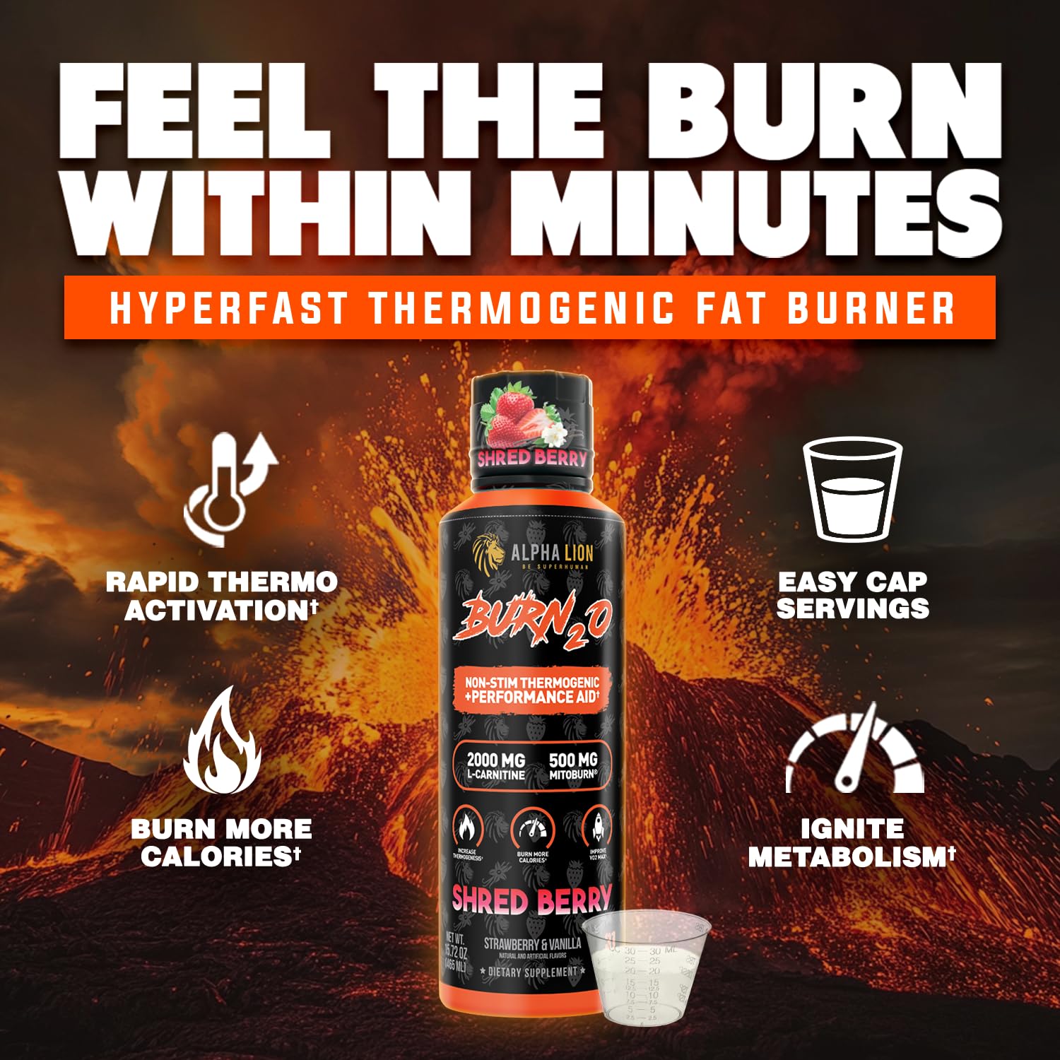 ALPHA LION Burn2O L-Carnitine Liquid 2000mg, Premium Liquid Fat Burner & Pre-Workout Supplement for Men & Women - Natural Energy & Metabolism Booster ALPHA LION buy supplements canada