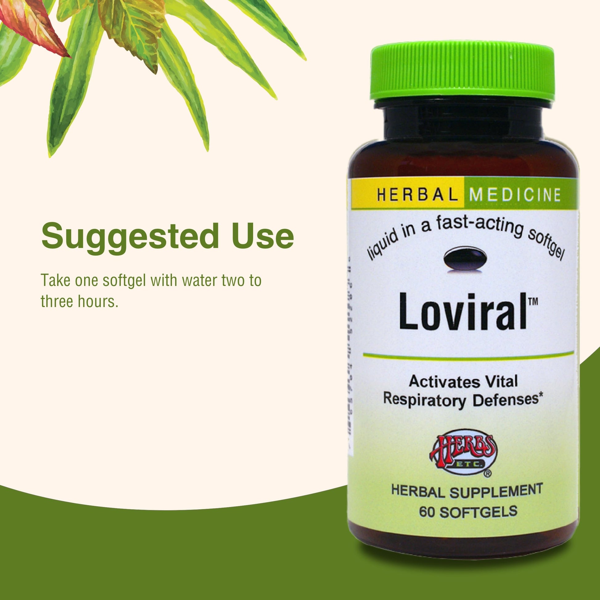 Herbs Etc. Loviral - Lung Health Supplement for Respiratory Defense & Support - Herbal Supplement with Lomatium, Pelargonium & OSHA - Gluten-Free - 60 Softgels (60 Servings) Herbs Etc. buy supplements canada