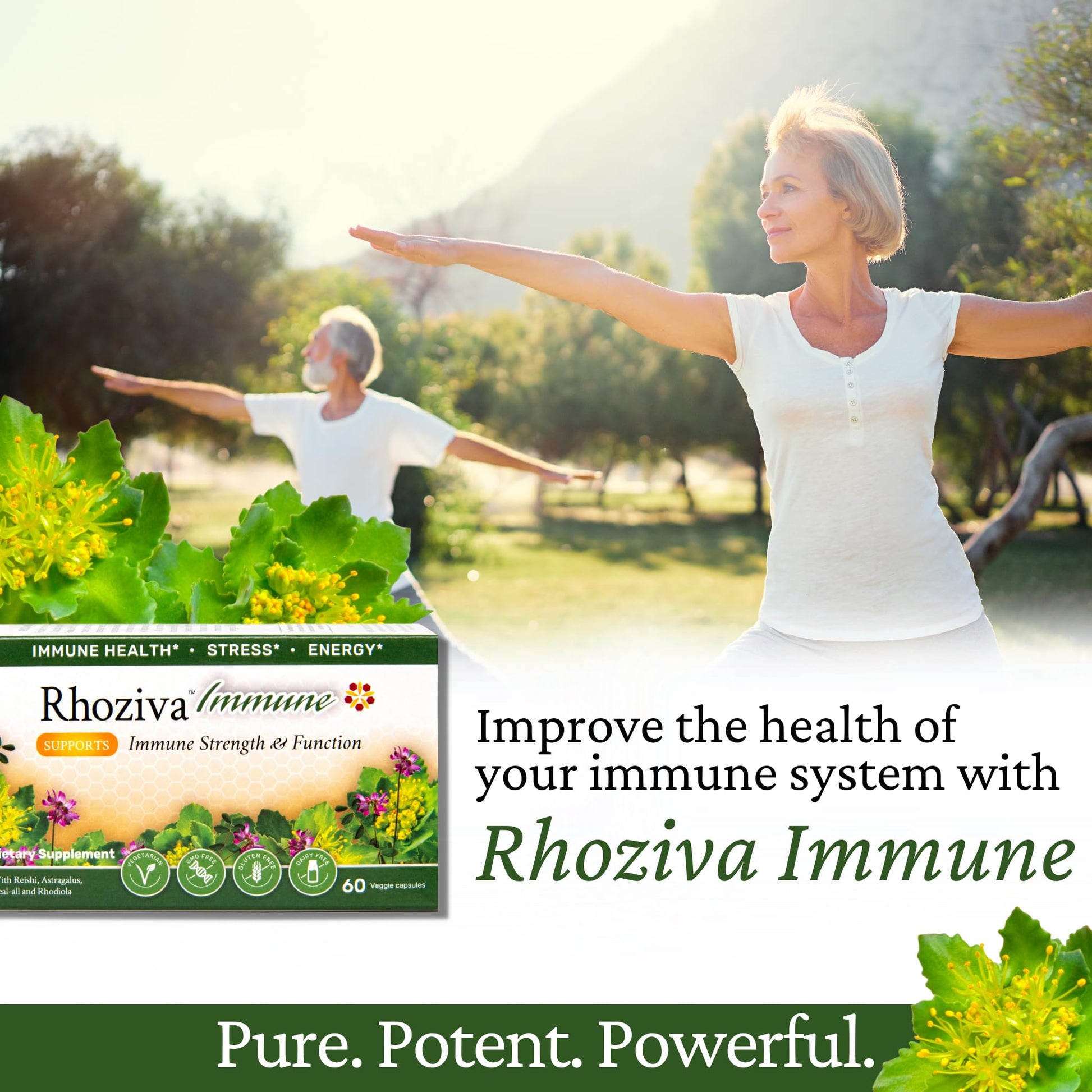 Immune Support, Energy Booster with Vitamin C, D3 and Zinc Supplement, Rhodiola Rosea, Reishi Mushroom Extract, Astragalus, Overall Wellness and Daily Habit - 60 Capsules Rhoziva buy supplements canada