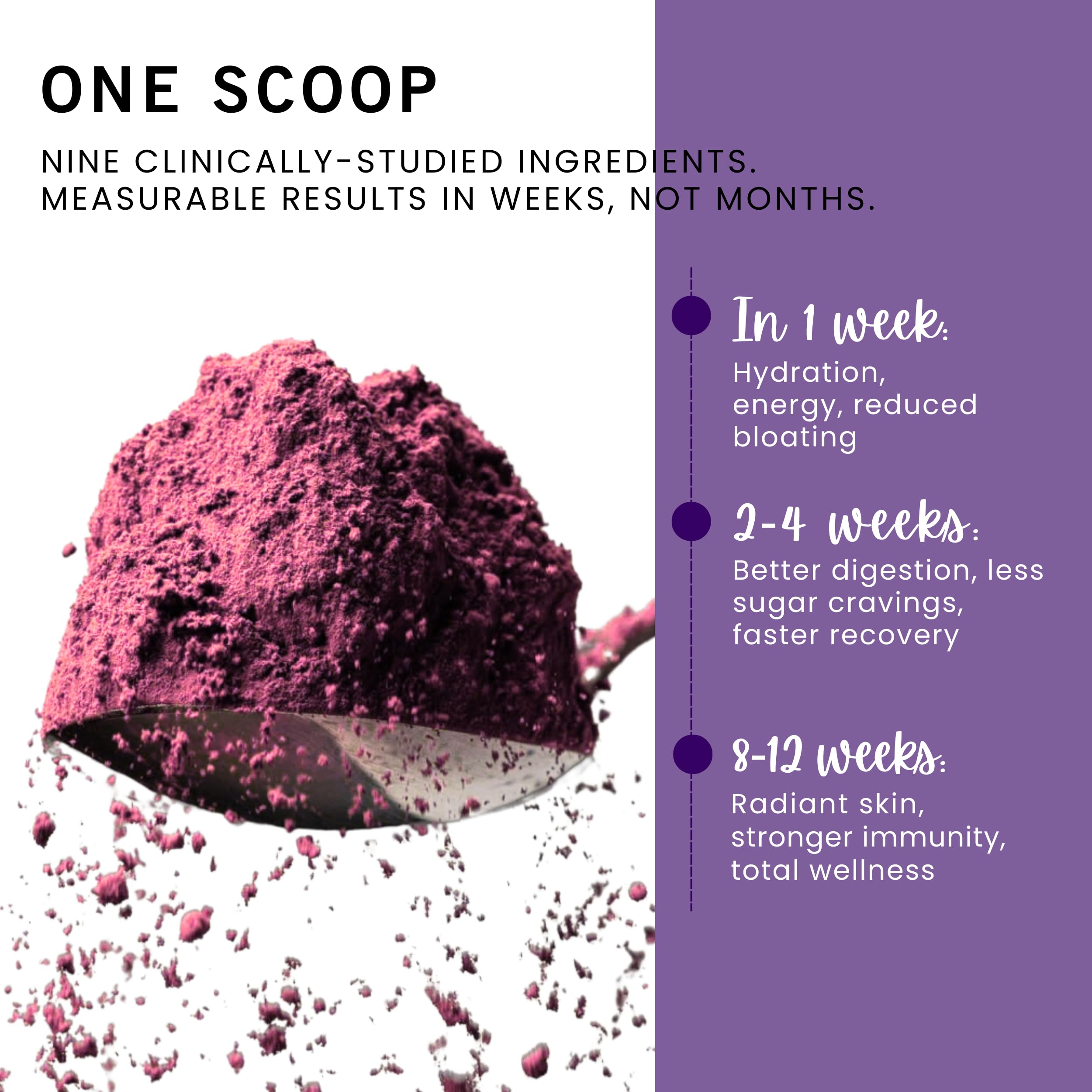 Leverage Mixed Berries Anti–Aging Supplement & Longevity Mix - Daily Wellness Multivitamin Powder with Hyaluronic Acid, L-Glycine & Magnesium for Skin, Energy, Cognitive Function & Joint–30 Servings Leverage buy supplements canada