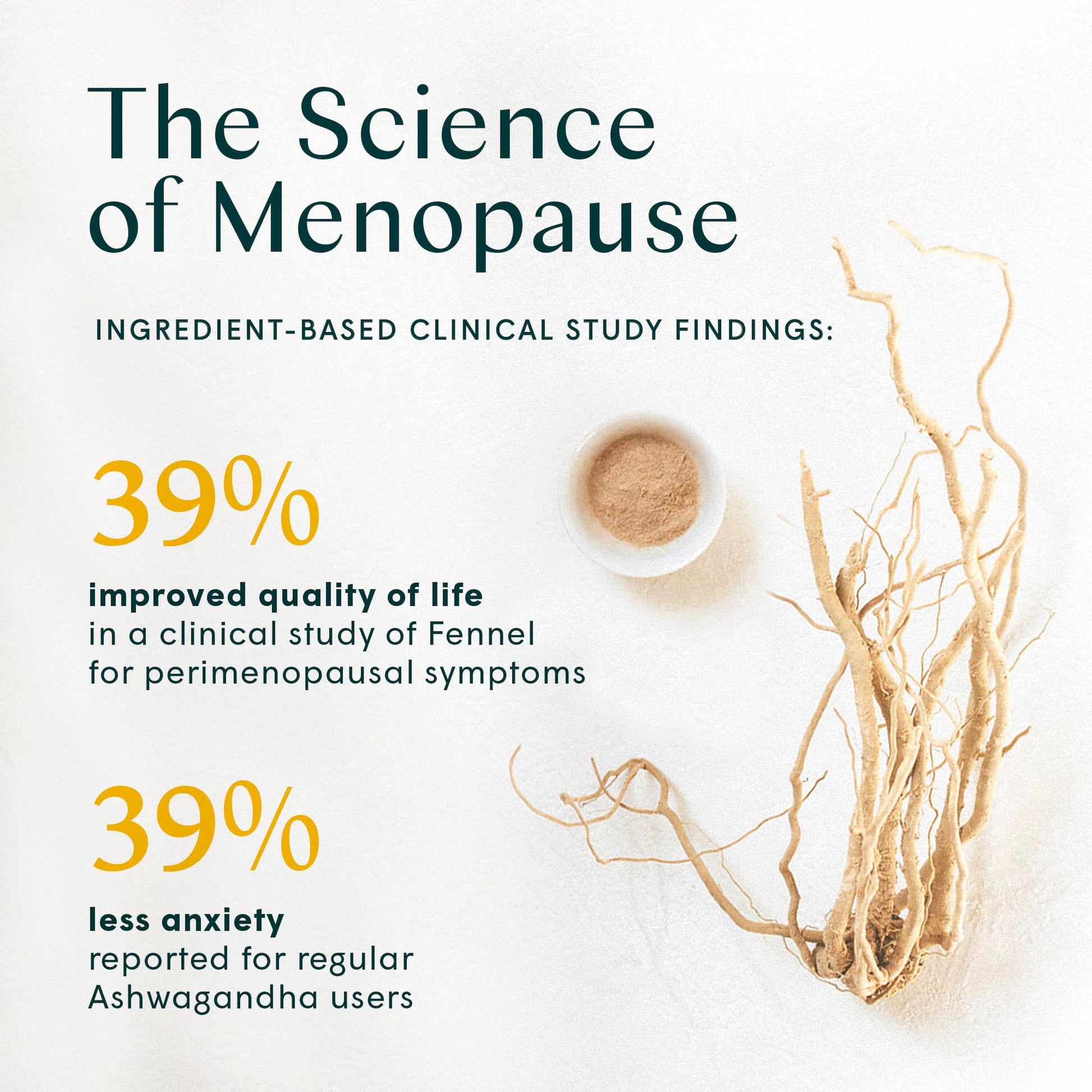 Wile Perimenopause Supplement for Women with Ashwagandha, Kudzu Root, Hops Extract WILE buy supplements canada