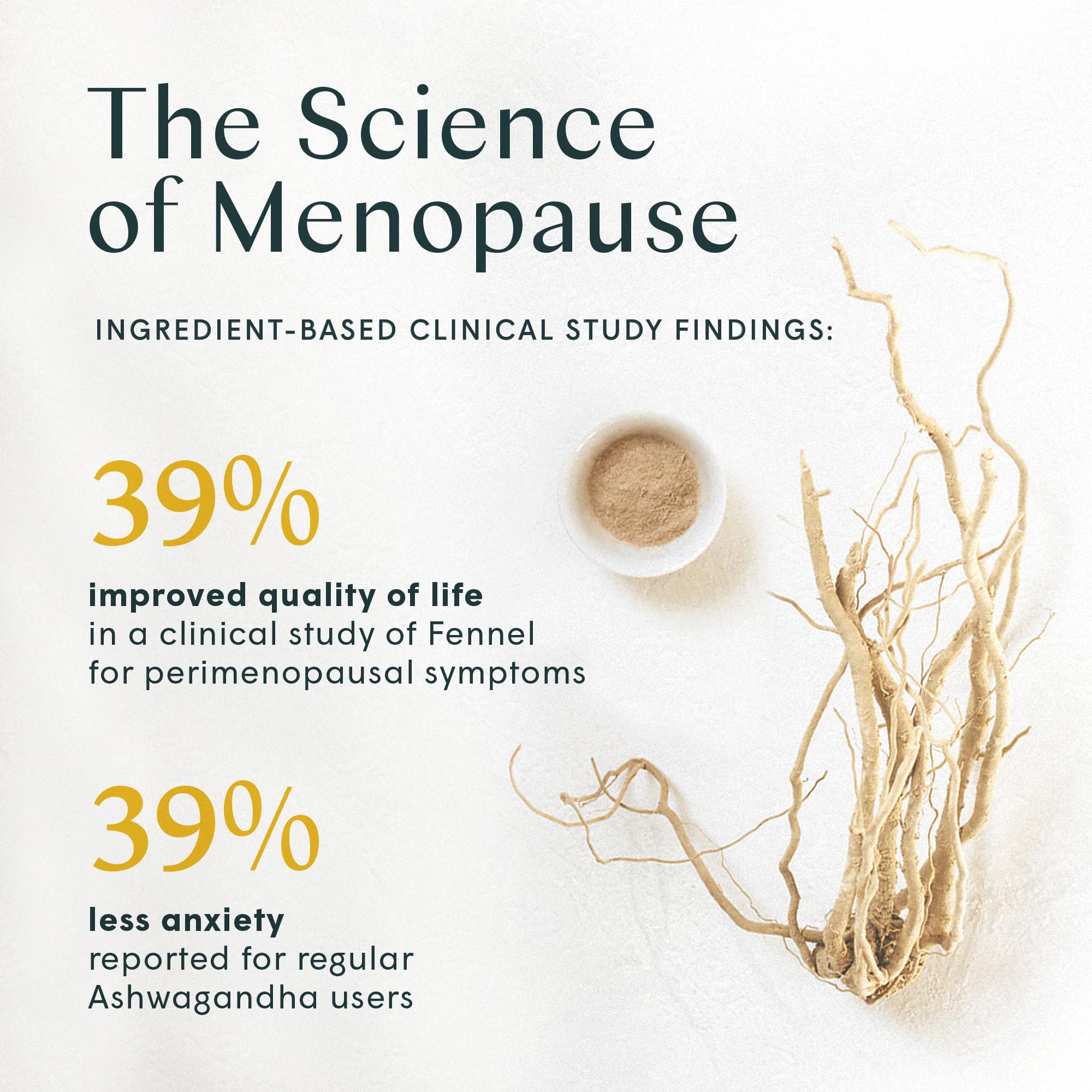 Wile Perimenopause Supplement for Women with Ashwagandha, Kudzu Root, Hops Extract WILE buy supplements canada