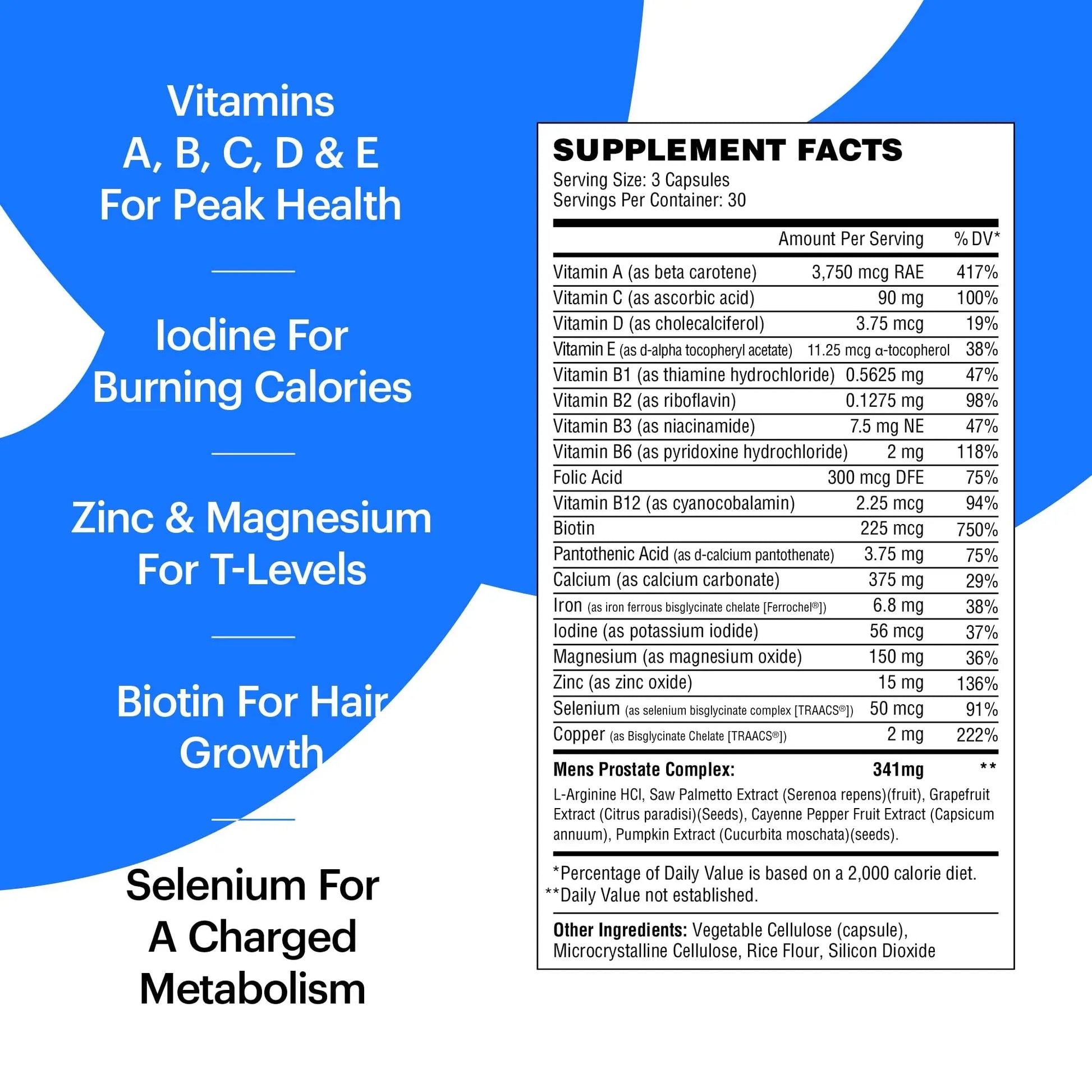 Wellthy His Daily Natural Multivitamin for Men, Premium Prostate Support Supplement, Support Hair Growth (30 Day) Wellthy buy supplements canada