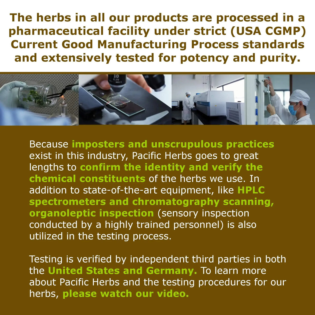 Pacific Herbs Natural PMS Relief Herb Extract Pacific Herbs buy supplements canada