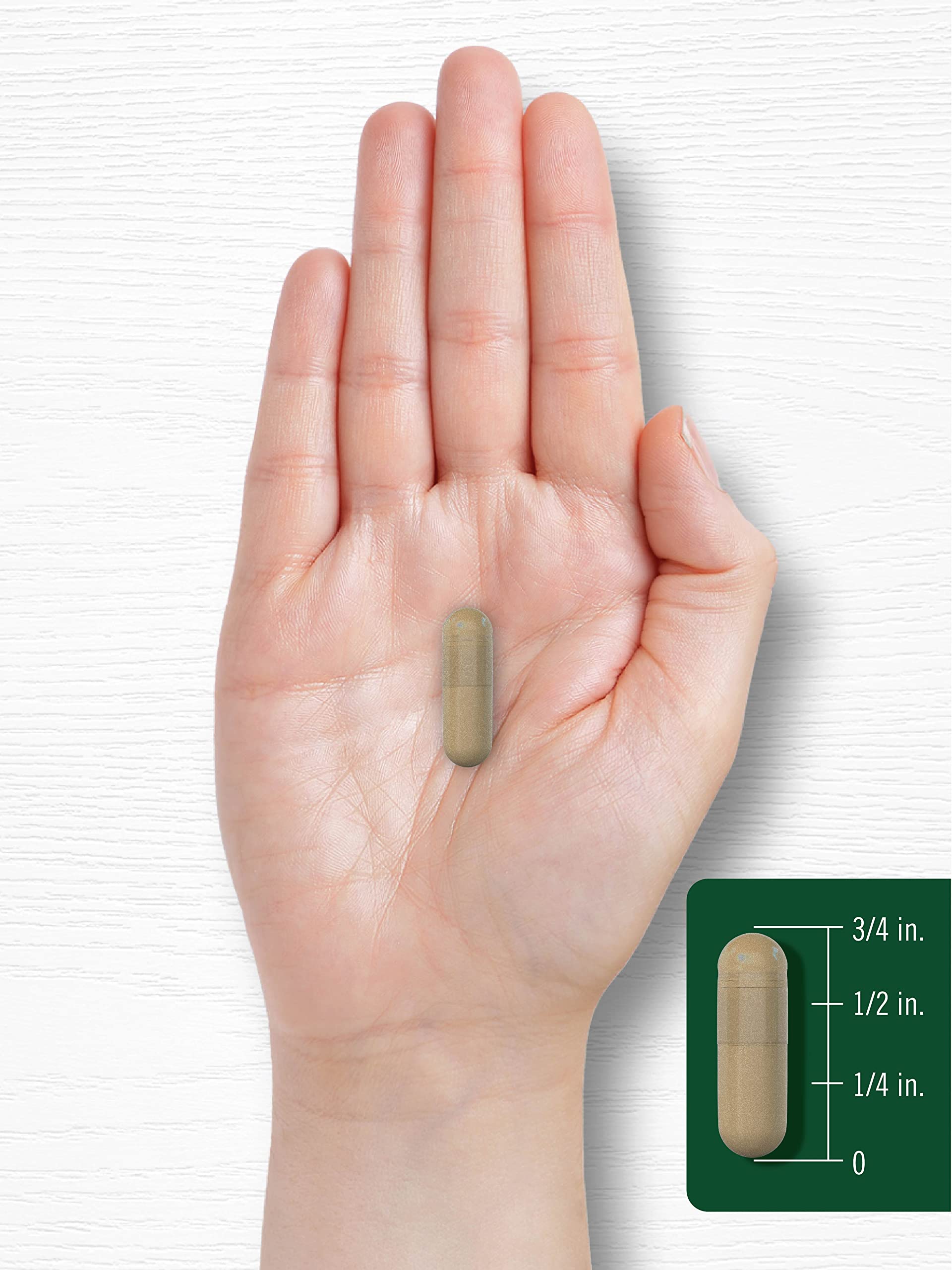 Carlyle Cayenne Pepper Capsules 600mg | 350 Pills | Non-GMO, Gluten Free Supplement Carlyle buy supplements canada