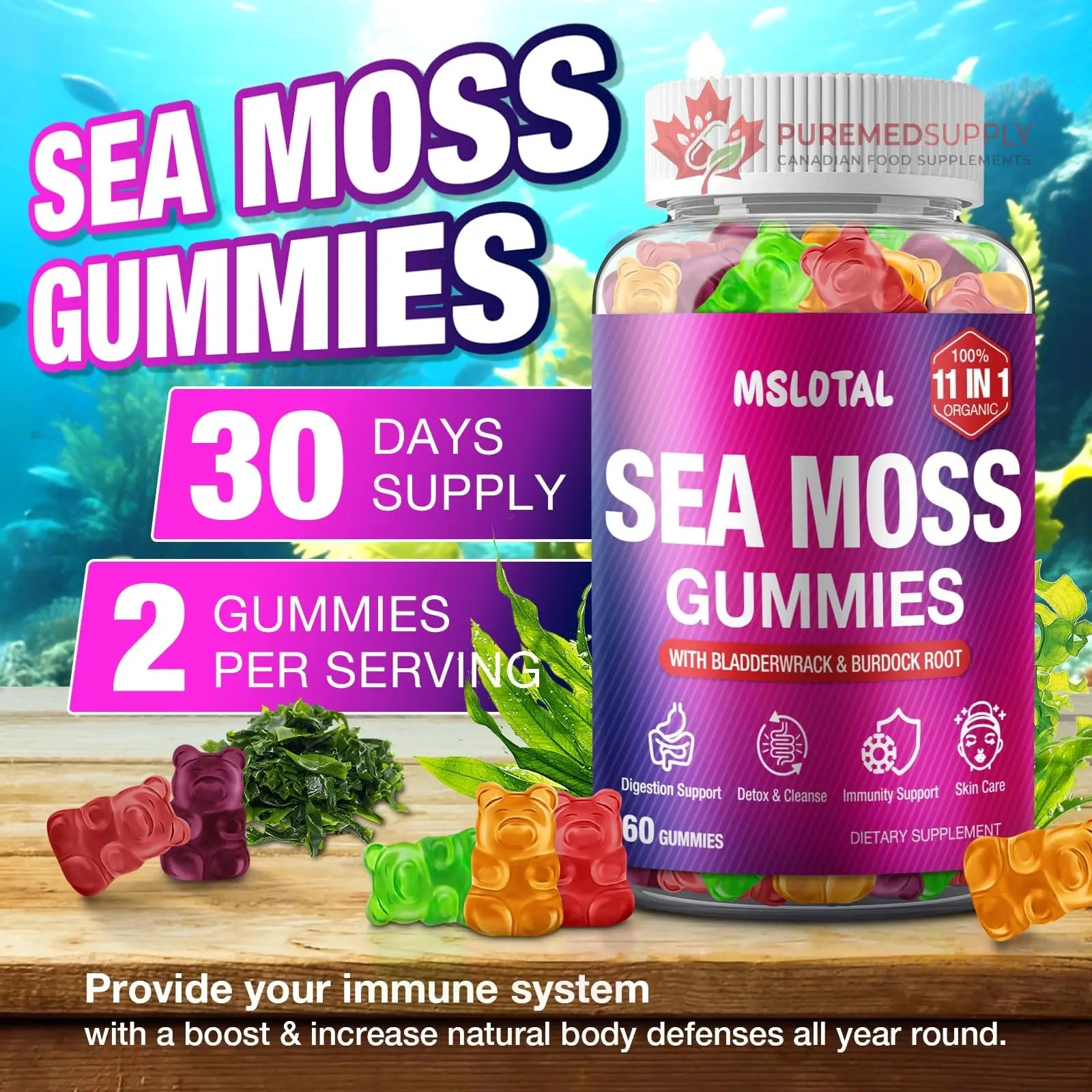 MSLOTAL Irish Sea Moss Gummies with Ashwagandha Bladderwrack and Burdock Root - Natural Irish Seamoss Supplement for Thyroid, Energy, Immune Support - 60 Vegan Gummy MSLOTAL buy supplements canada