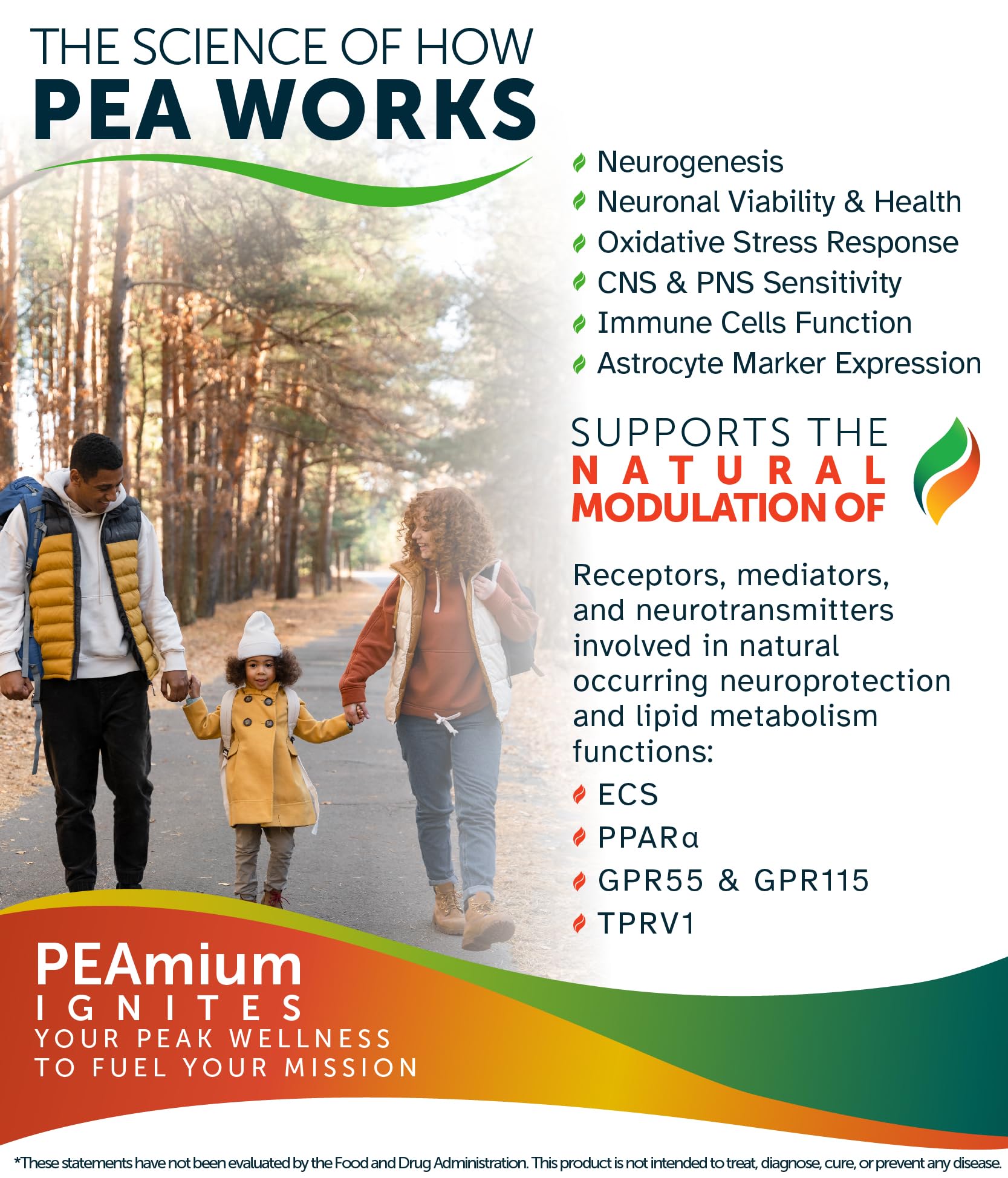Palmitoylethanolamide 450mg Comfort Mobility Nerves Cognitive & Immune Support - Micronized High Absorption - All Natural Pea - USA Made - No Additives or Excipients – 60 Vegan Capsules Supplement Awakened.energy buy supplements canada
