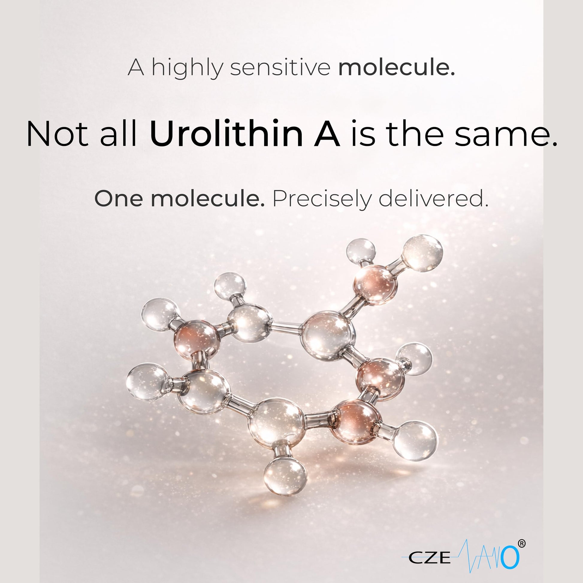 CzeNano Longevity – Ultra-Pure Urolithin A Supplement 1000 mg | Mitochondrial Support, Cellular Energy & Muscle Strength | Third-Party Tested COA | 60 Vegan Capsules CzeNano buy supplements canada