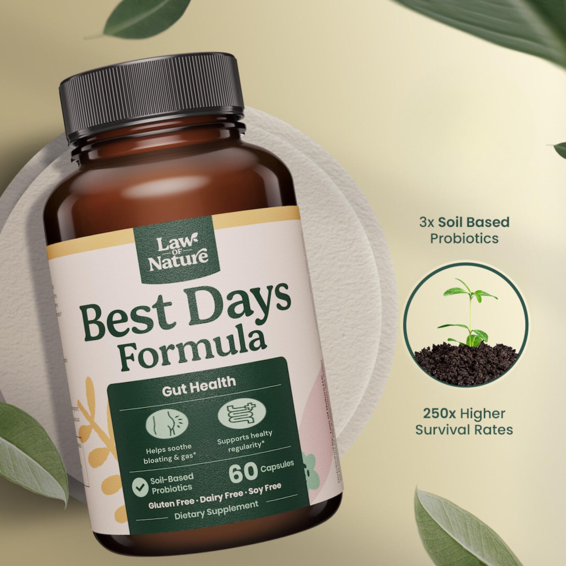Best Days Formula | Advanced 5-in-1 Gut Support for Bloating, Gas & Irregularity | Soil-Based Probiotics + Prebiotics, L-Glutamine, Aloe Vera & More | 60 Capsules Law Of Nature buy supplements canada
