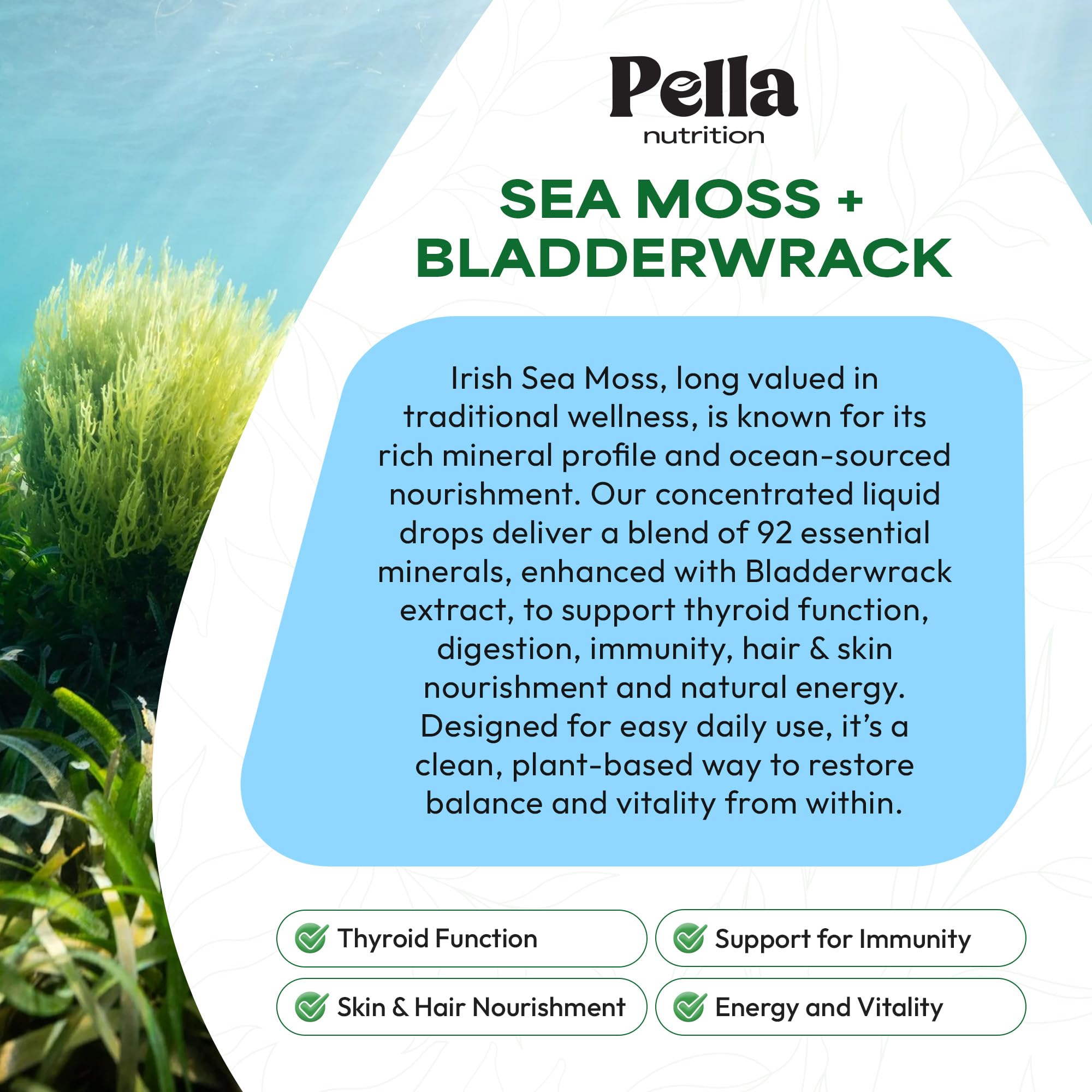 Pella Nutrition Sea Moss Drops with Bladderwrack – 4X Faster Absorption Than Irish Sea Moss Gel Superfood, Gummies, and Capsules – Digestive & Immune Support Supplement (Strawberry Lime, 60mL) Pella Nutrition buy supplements canada