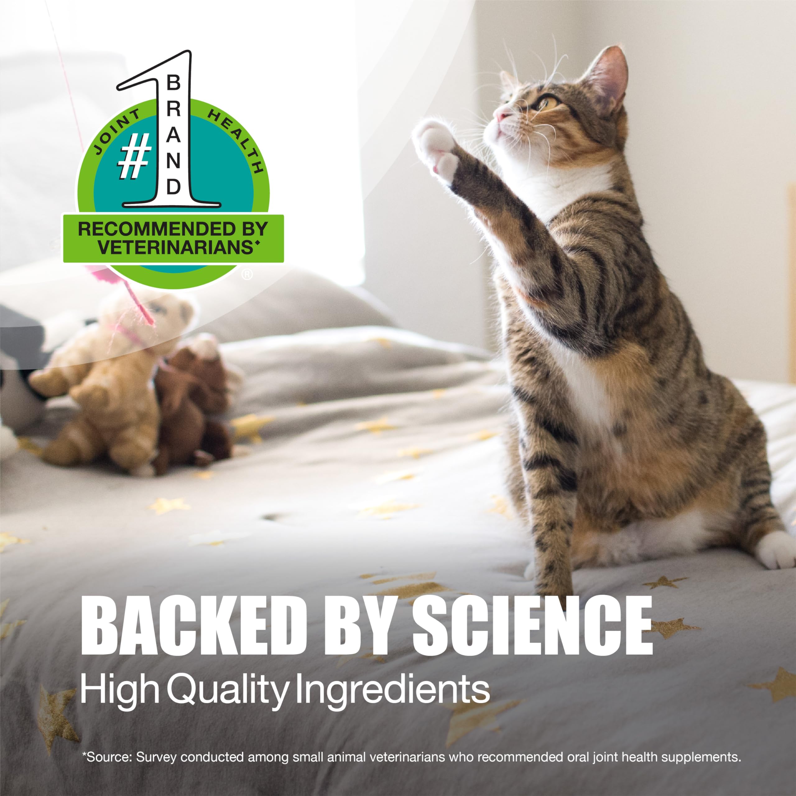 Nutramax Laboratories Dasuquin Joint Health Supplement for Cats - With Glucosamine, Chondroitin, ASU, Boswellia Serrata Extract, and Green Tea Extract, 84 Capsules Nutramax Laboratories buy supplements canada