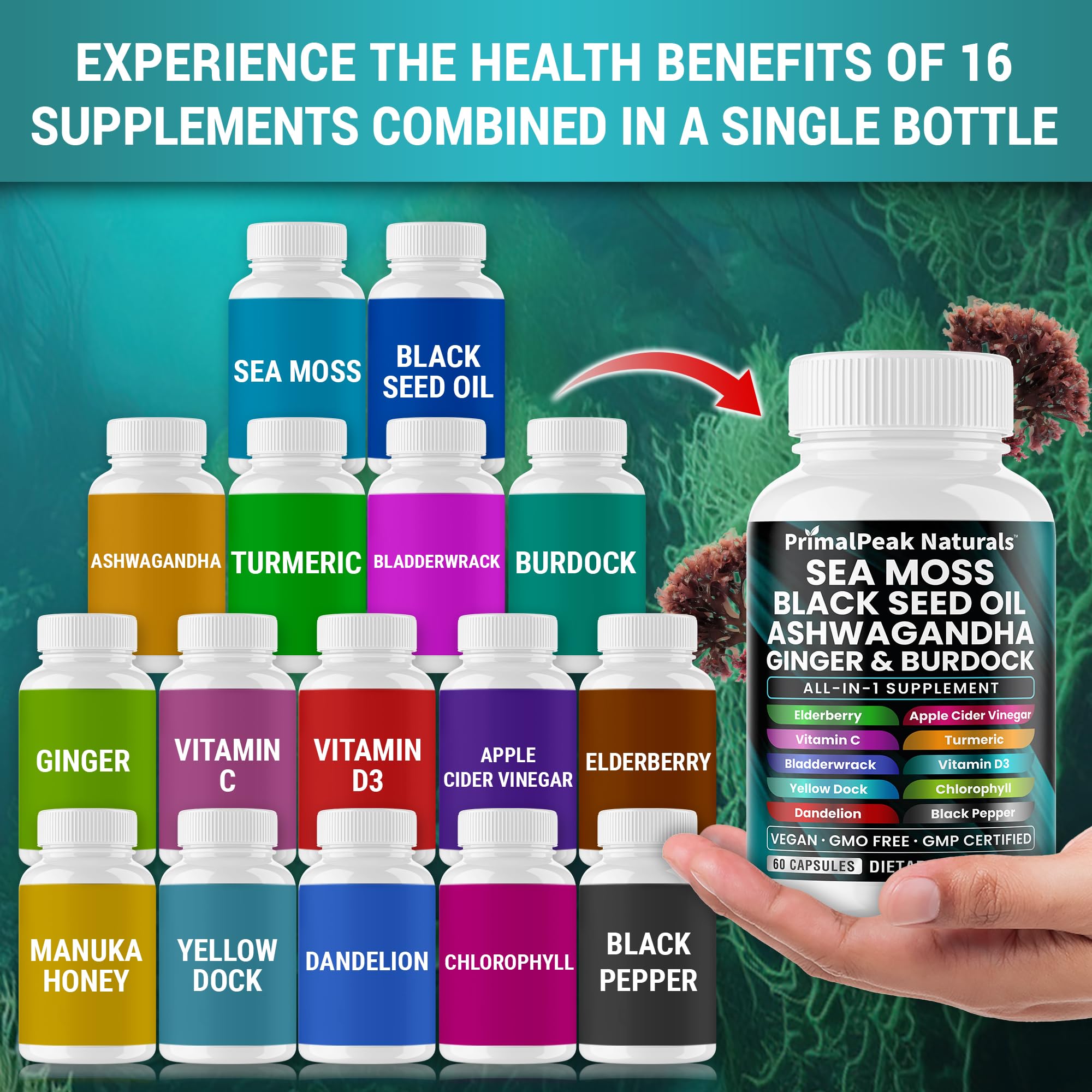 PrimalPeak Naturals Sea Moss Black Seed Oil Ashwagandha Ginger Burdock Bladderwrack Turmeric & Vitamin C Vitamin D3 with ACV Elderberry Chlorophyll Dandelion Yellow Dock Vegan Capsules - 60 Count PrimalPeak Naturals buy supplements canada