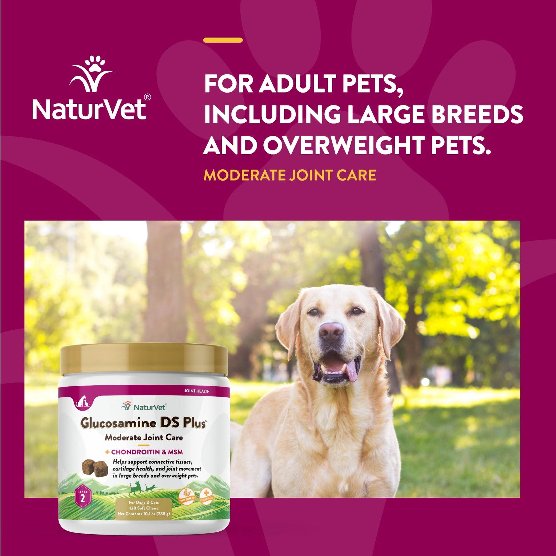 NaturVet – Glucosamine DS Plus - Level 2 Moderate Care – Supports Healthy Hip & Joint Function – Enhanced with Glucosamine, MSM & Chondroitin – for Dogs & Cats–120 Soft Chews NaturVet buy supplements canada