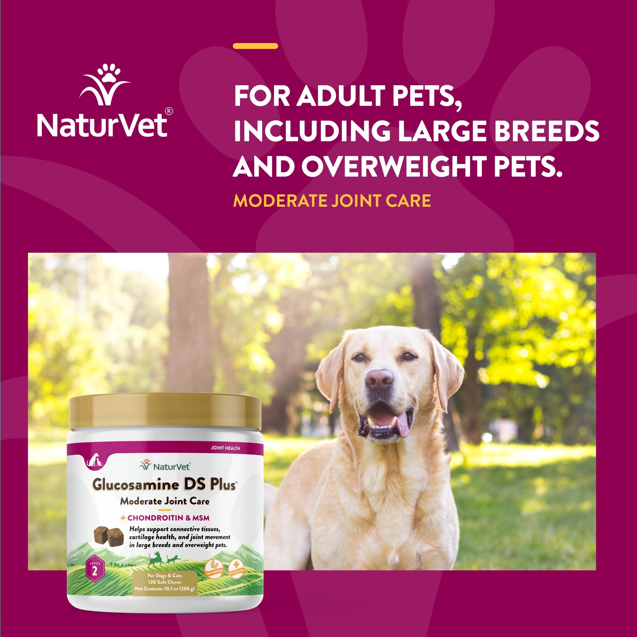 NaturVet – Glucosamine DS Plus - Level 2 Moderate Care – Supports Healthy Hip & Joint Function – Enhanced with Glucosamine, MSM & Chondroitin – for Dogs & Cats–120 Soft Chews NaturVet buy supplements canada